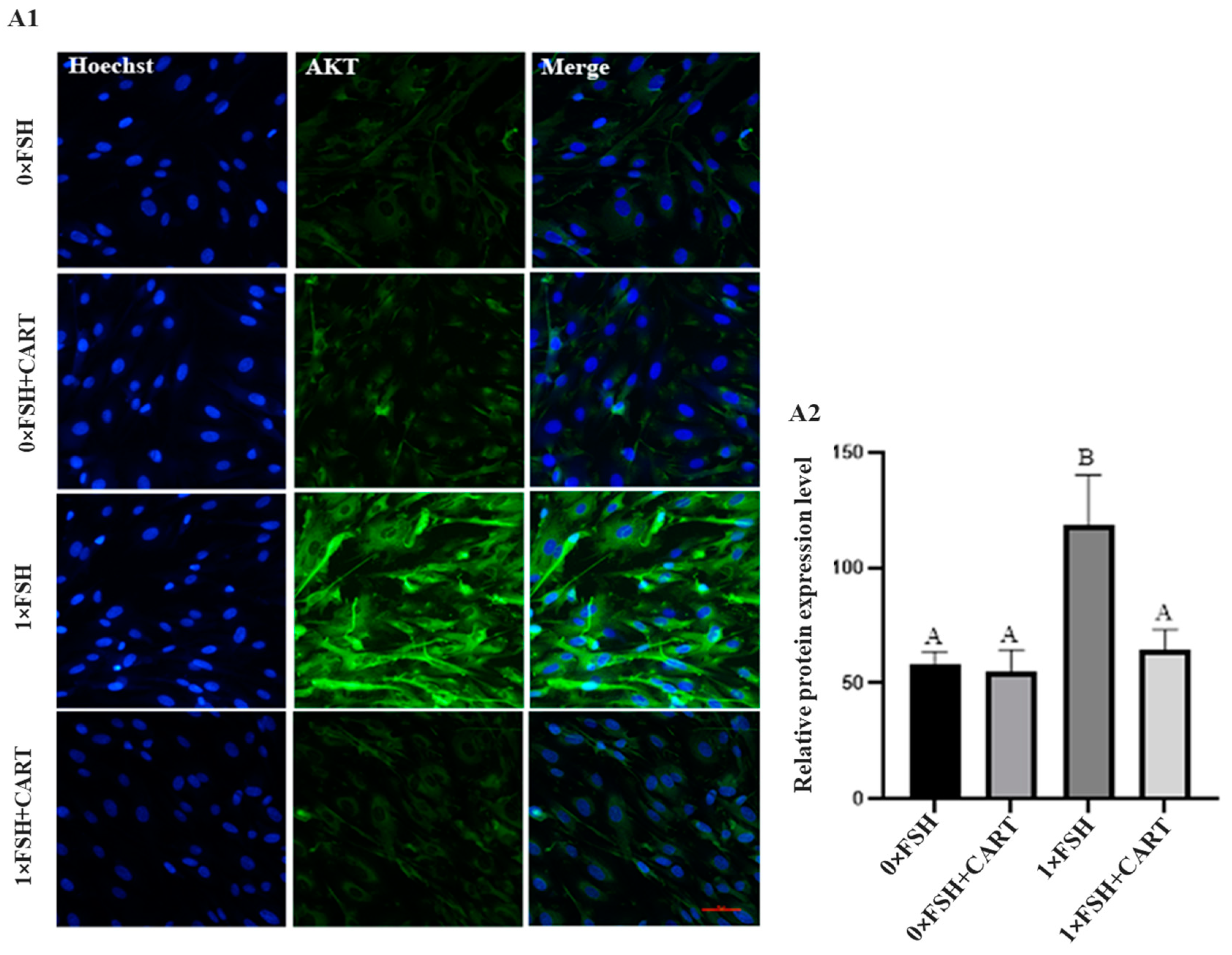 Animals 14 02138 g008