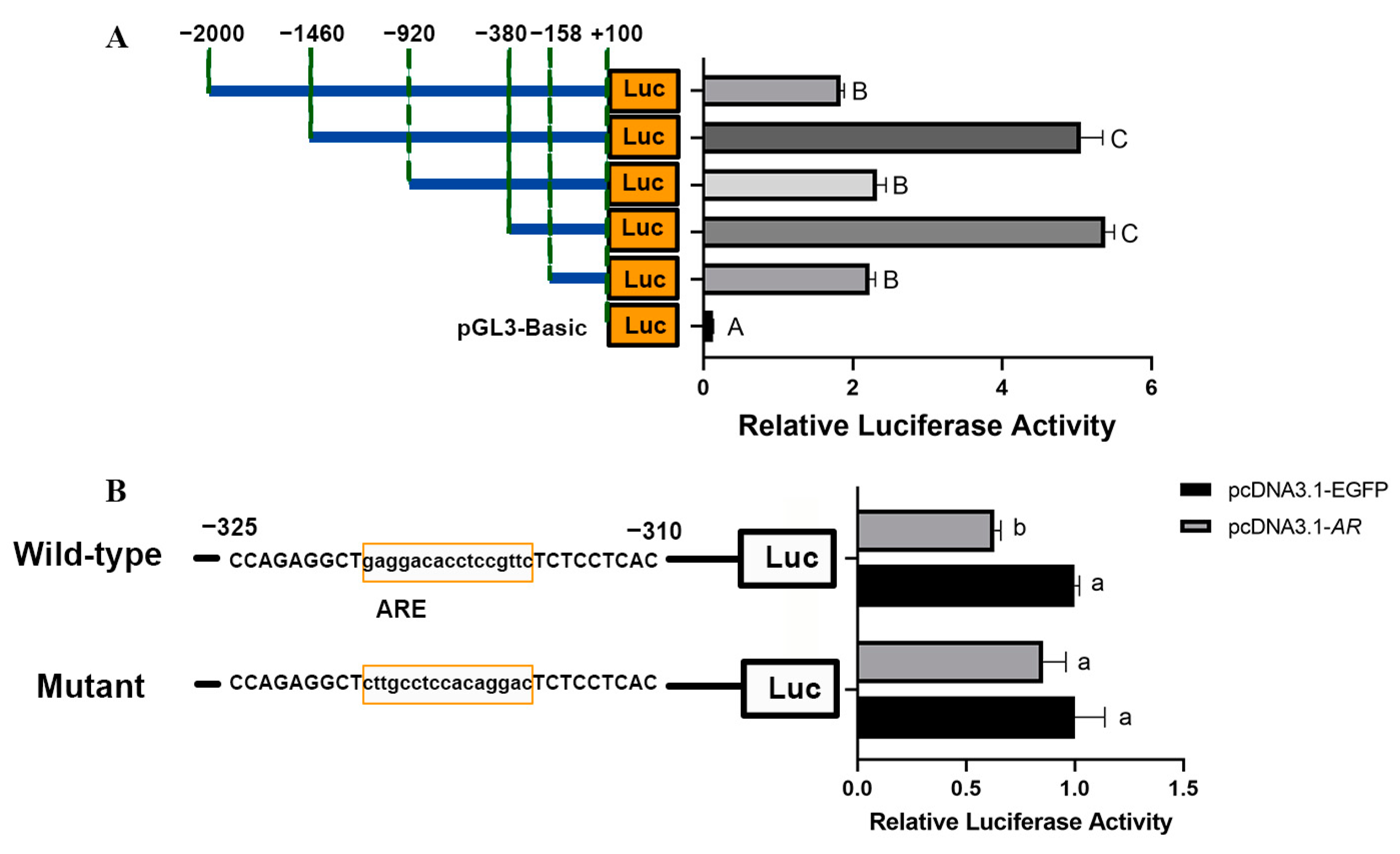 Animals 14 02143 g004