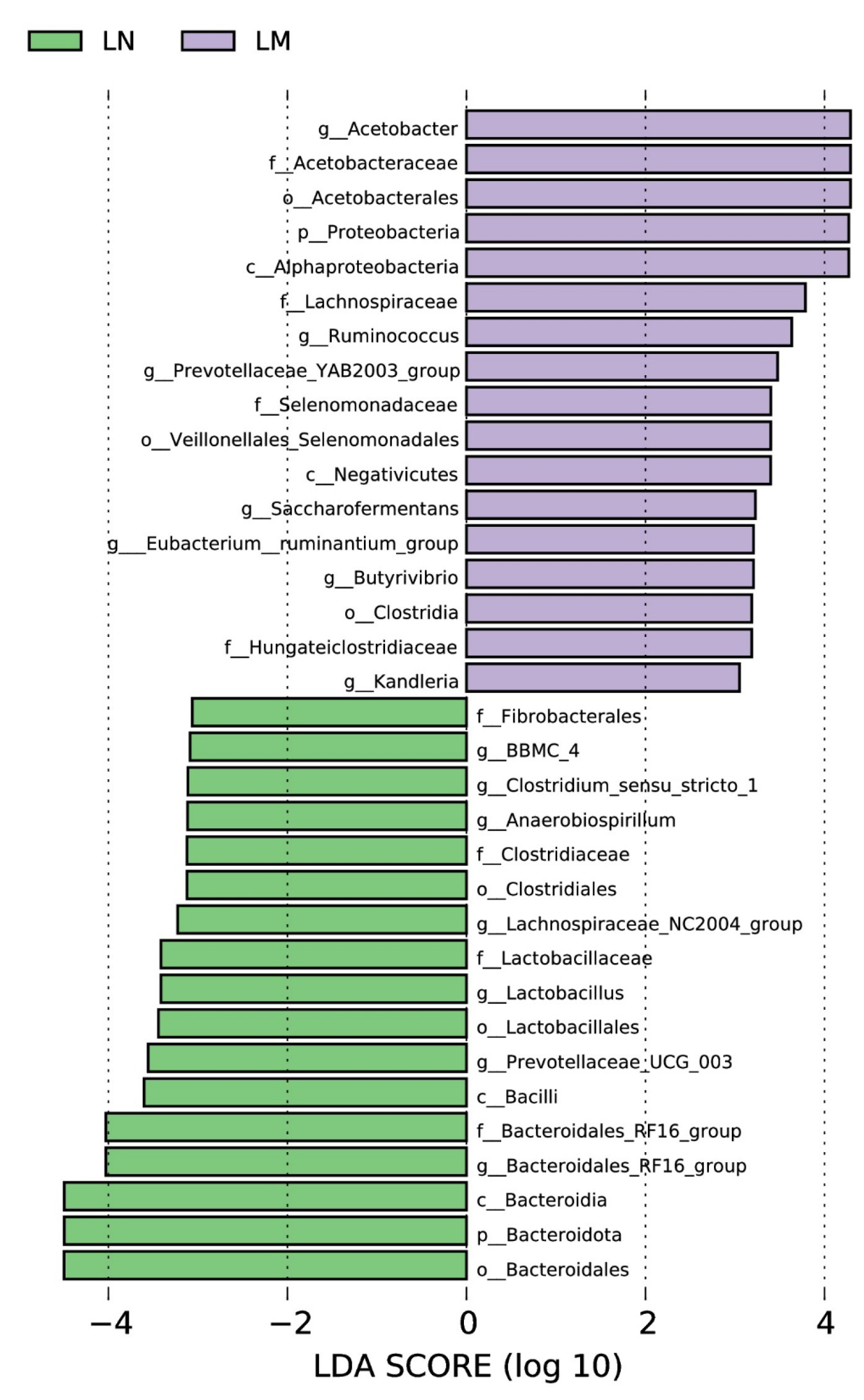 Animals 14 02146 g004