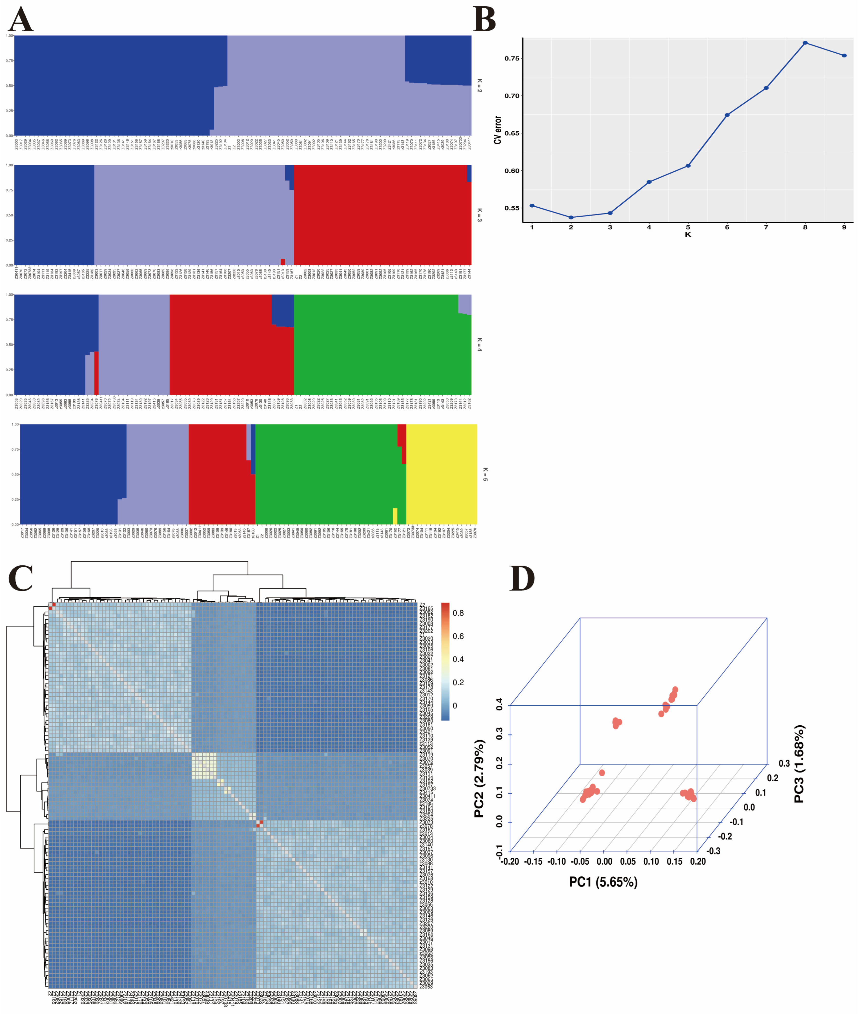 Animals 14 02152 g002