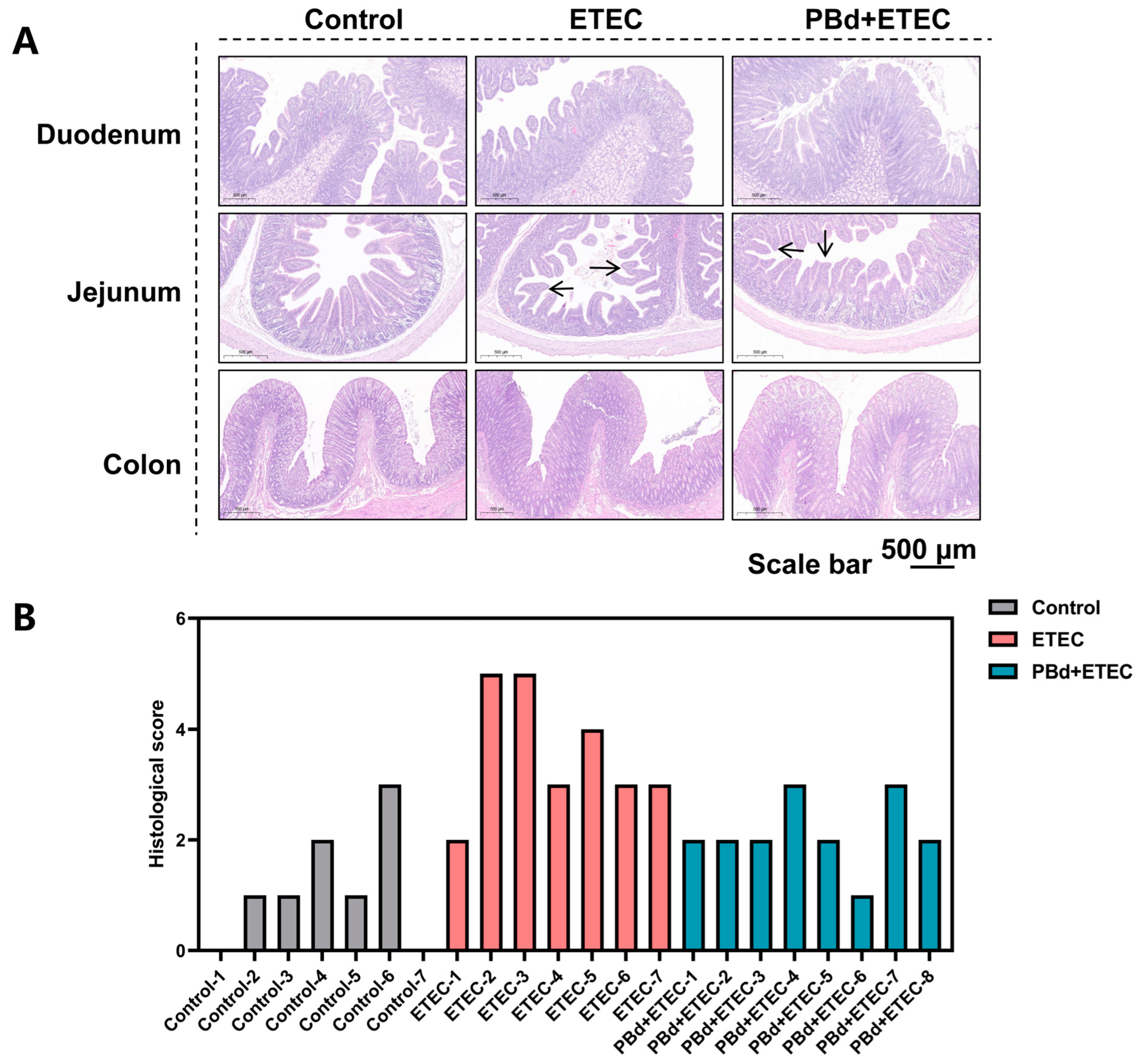 Animals 14 02156 g002