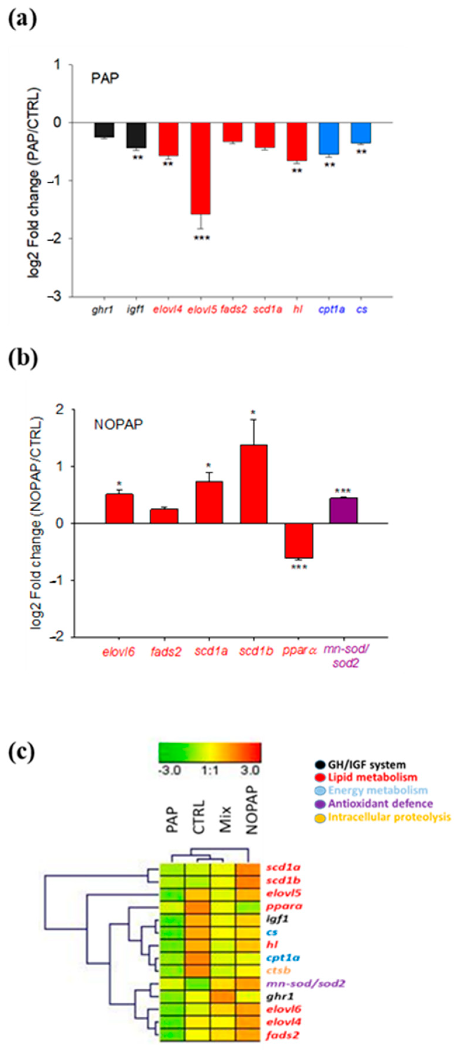 Animals 14 02166 g001 Animals 14 02166 g001
