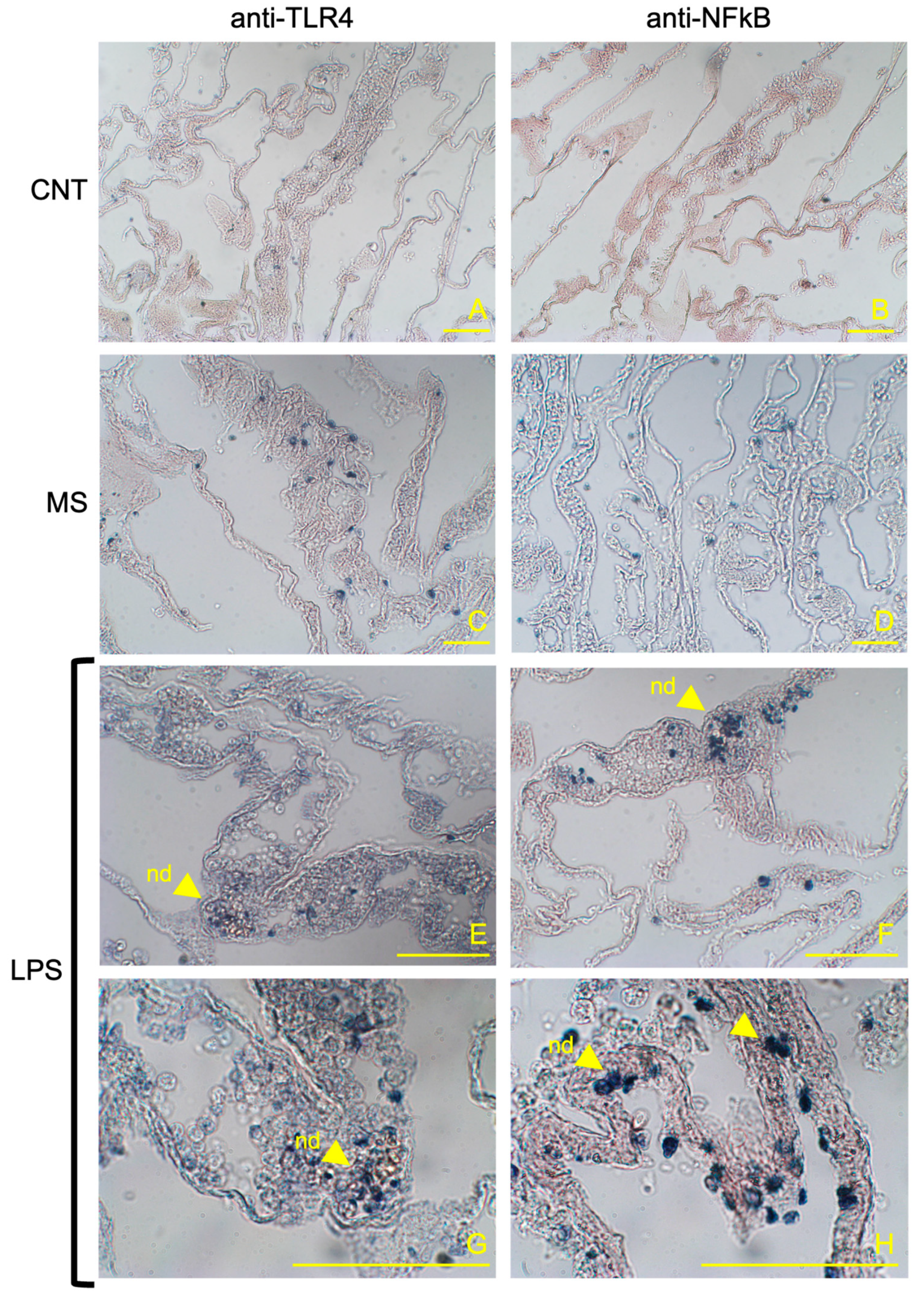 Animals 14 02169 g001