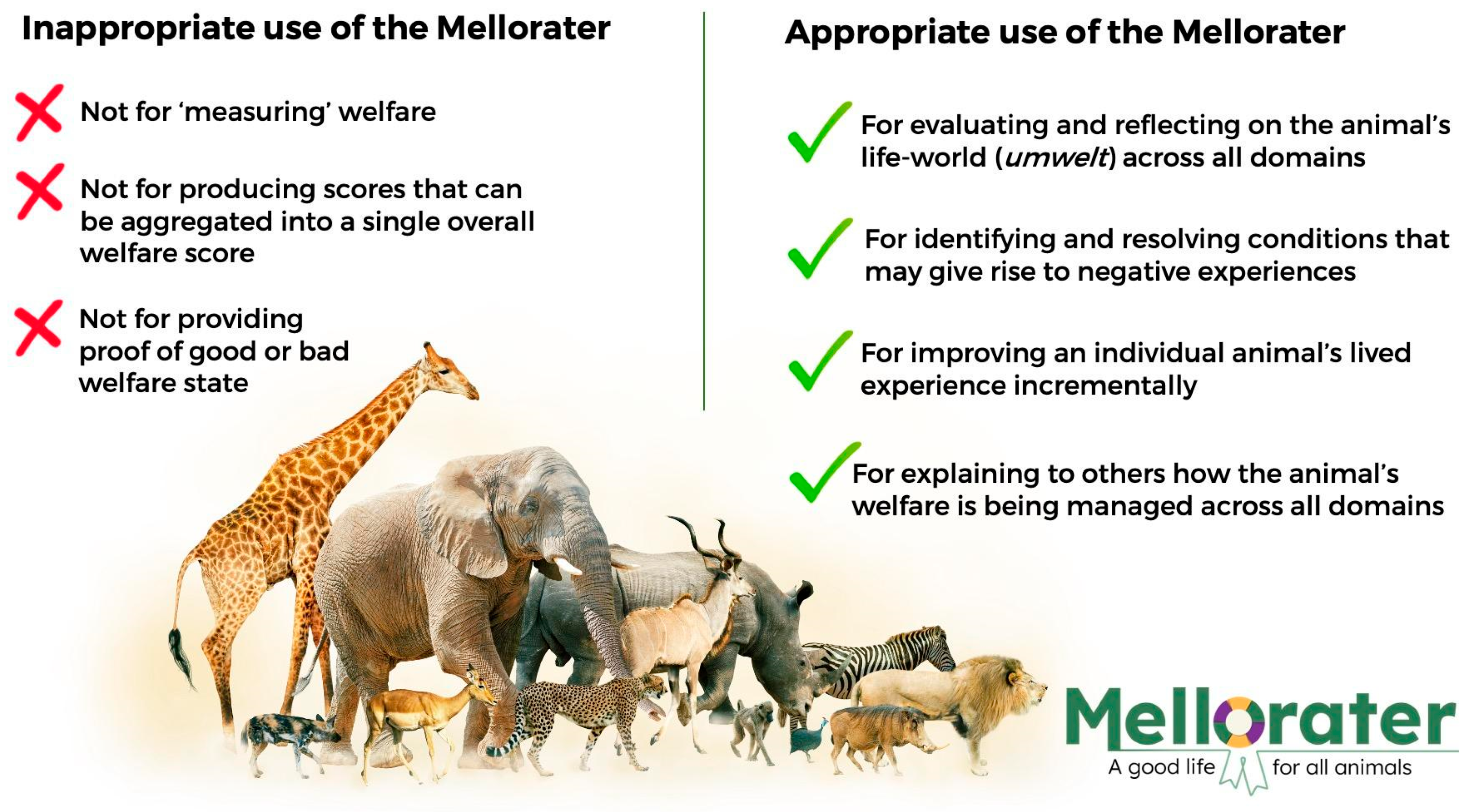 Animals 14 02172 g004