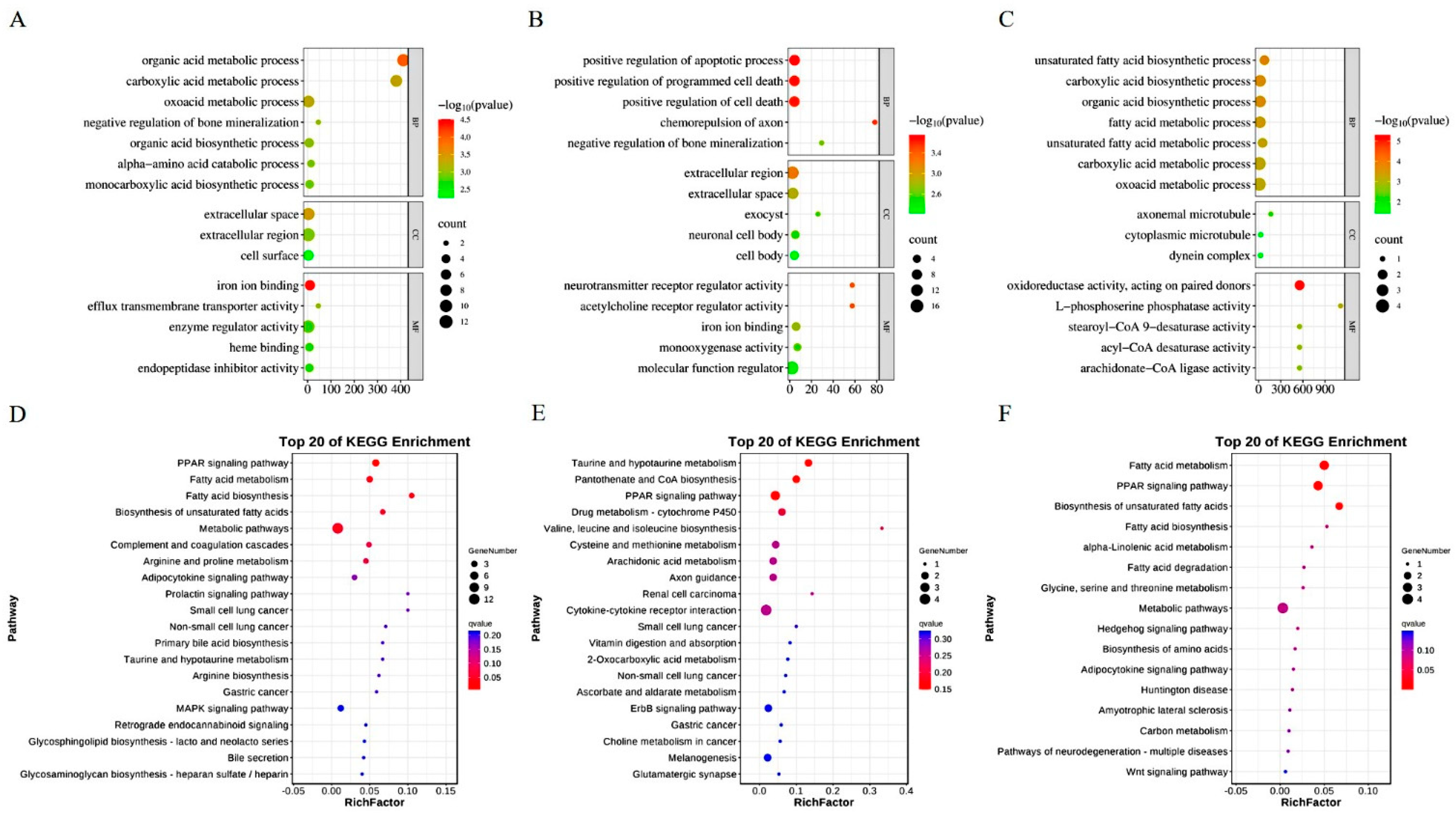 Animals 14 02173 g003