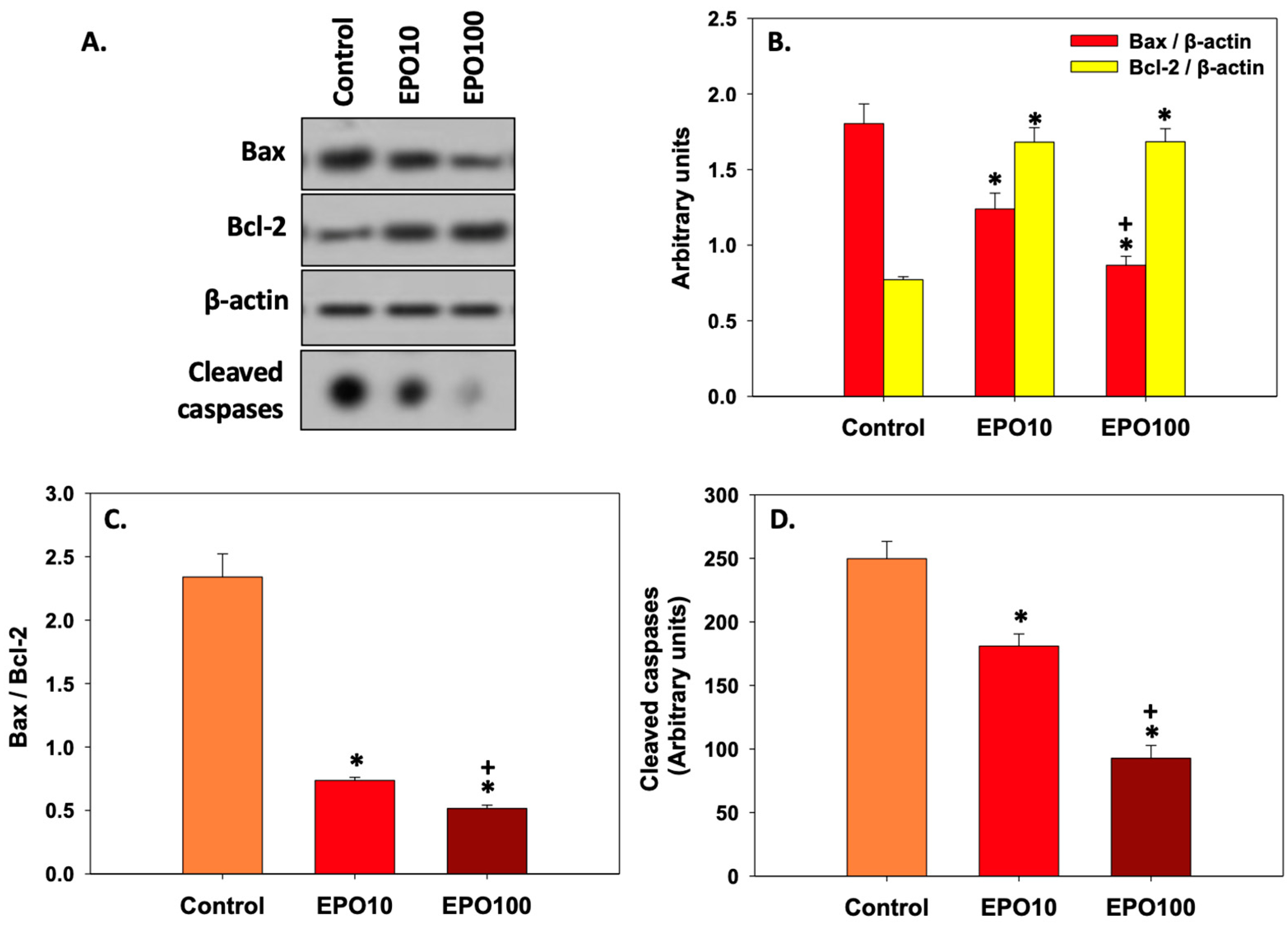 Animals 14 02175 g005