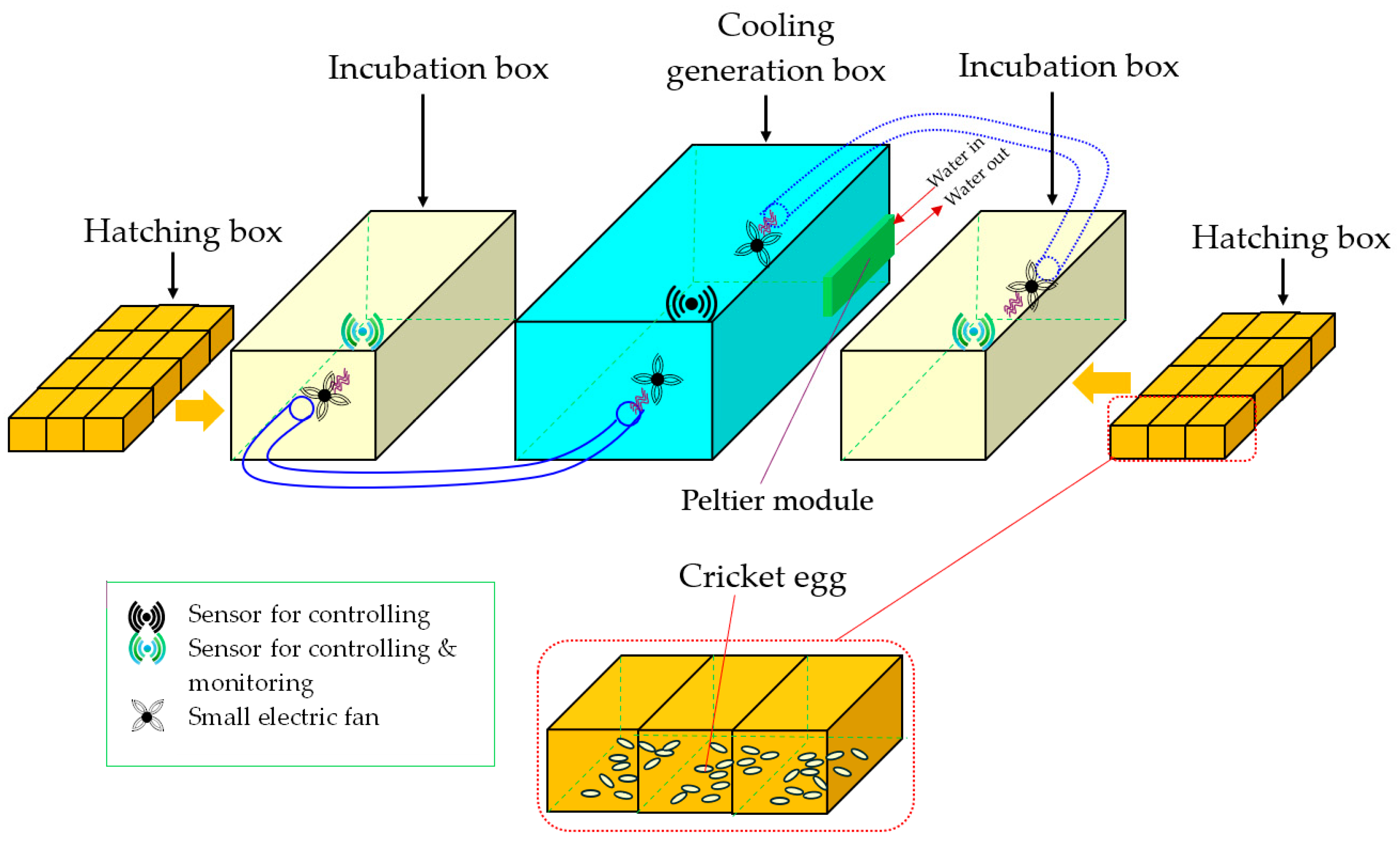 Animals 14 02176 g001