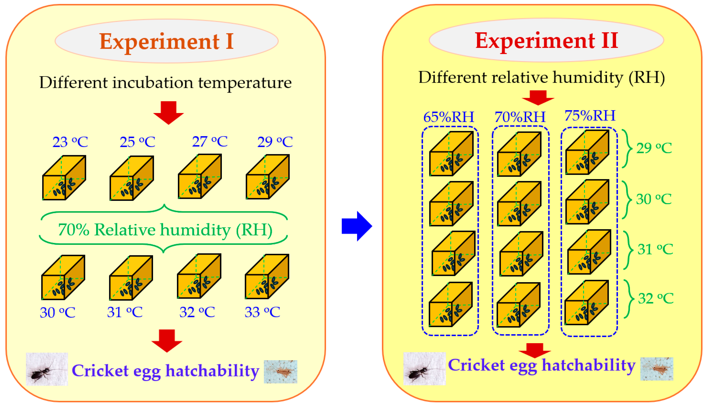 Animals 14 02176 g002