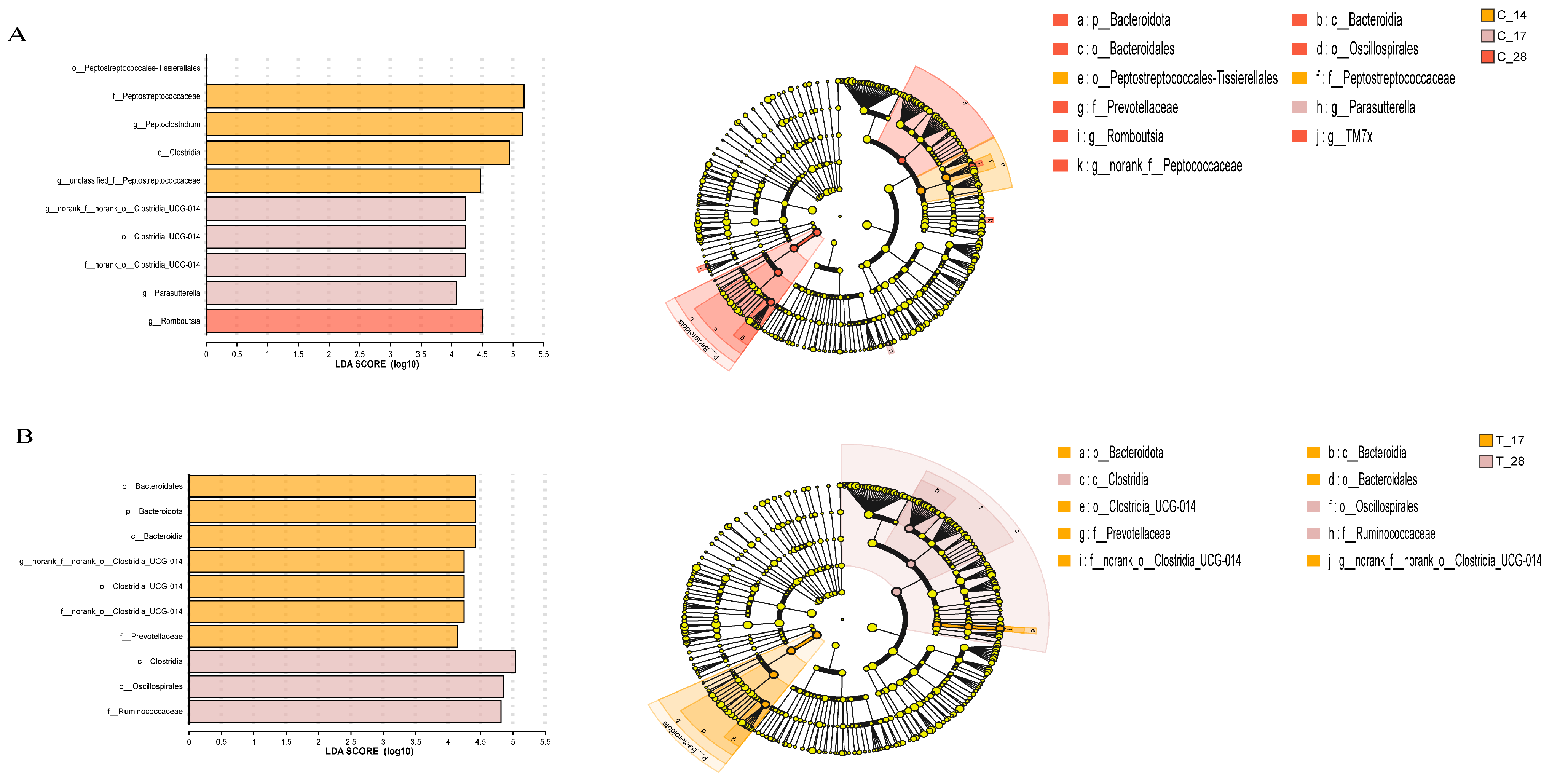 Animals 14 02179 g006