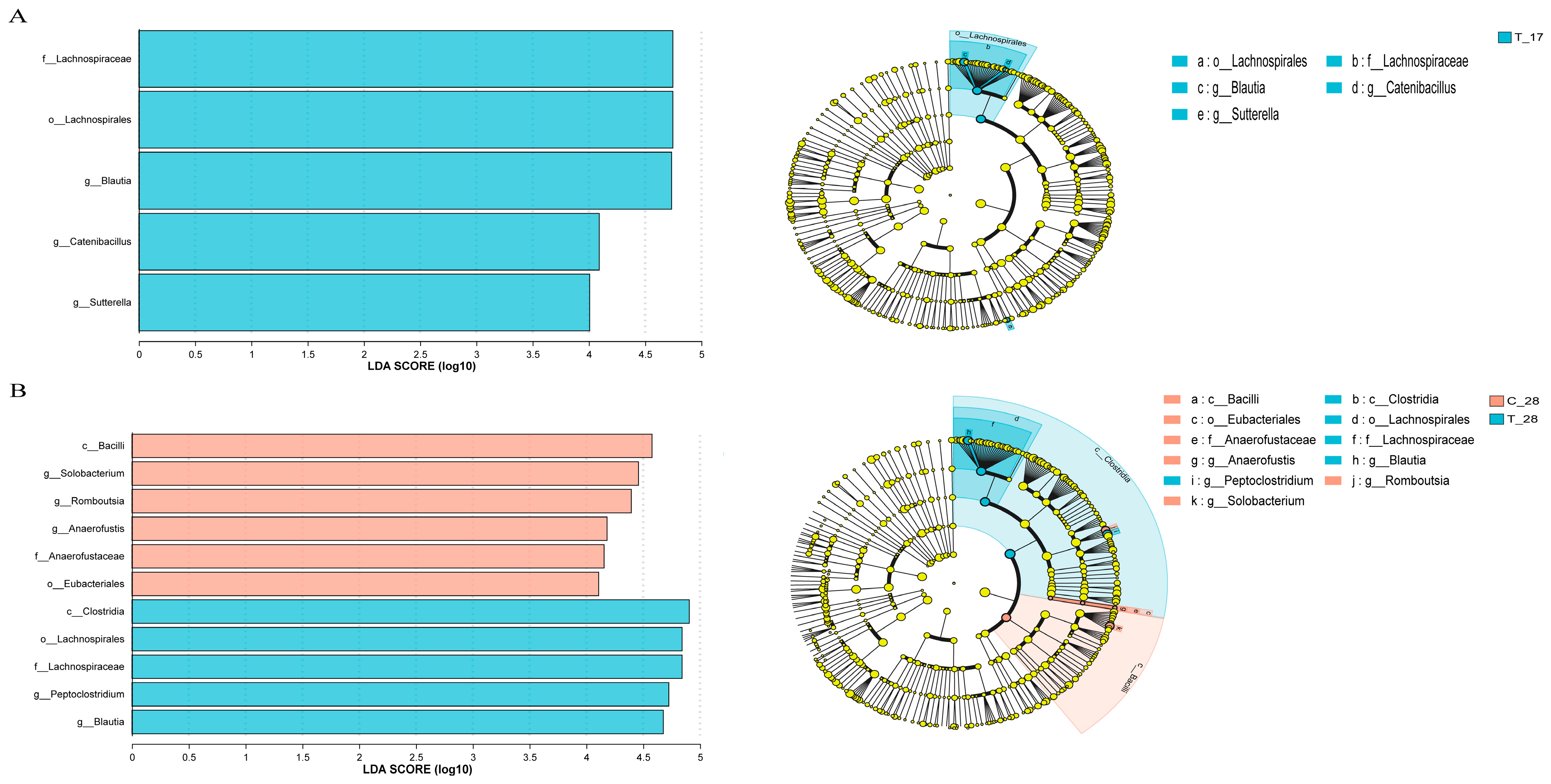 Animals 14 02179 g007
