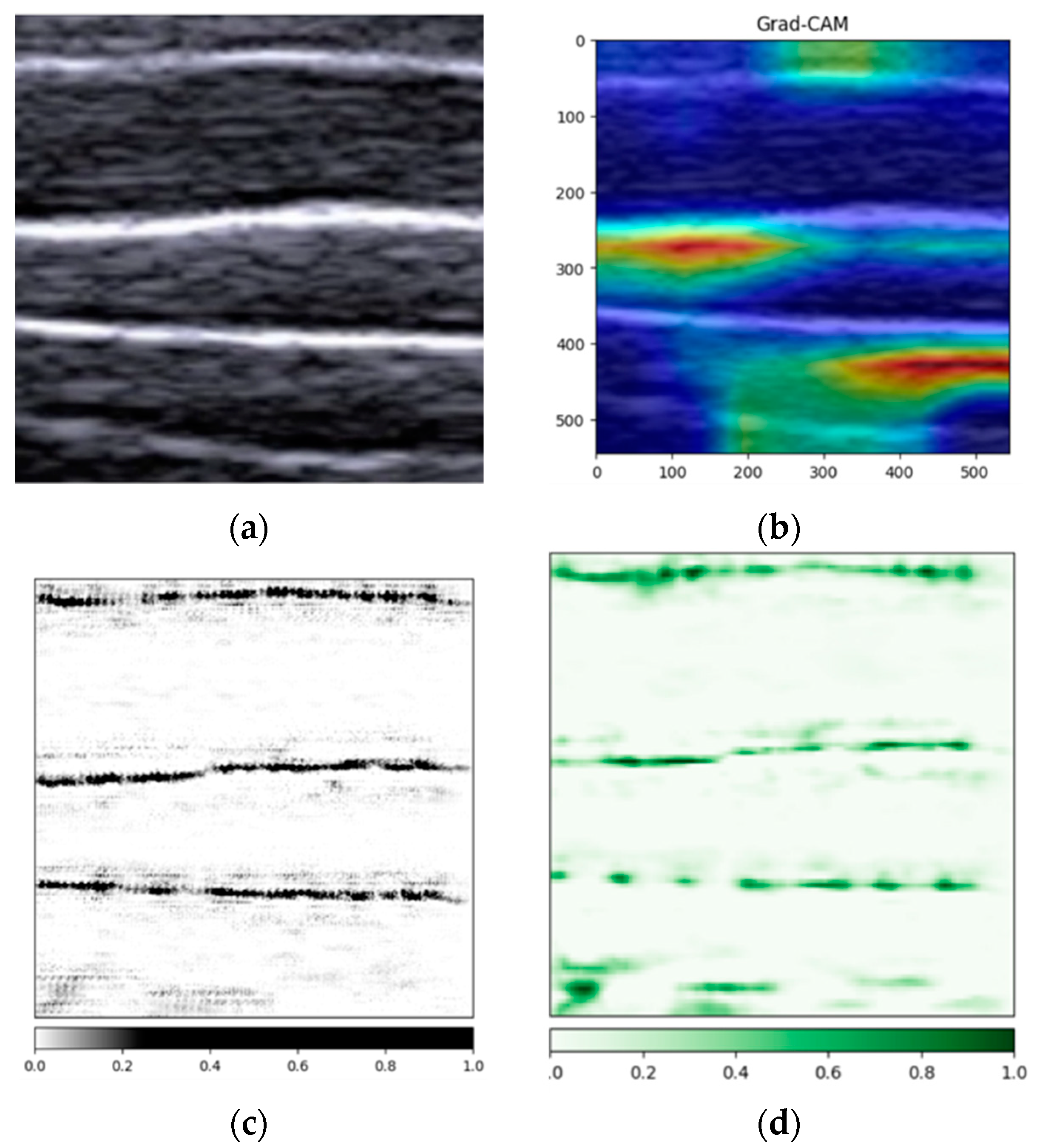 Animals 14 02189 g006