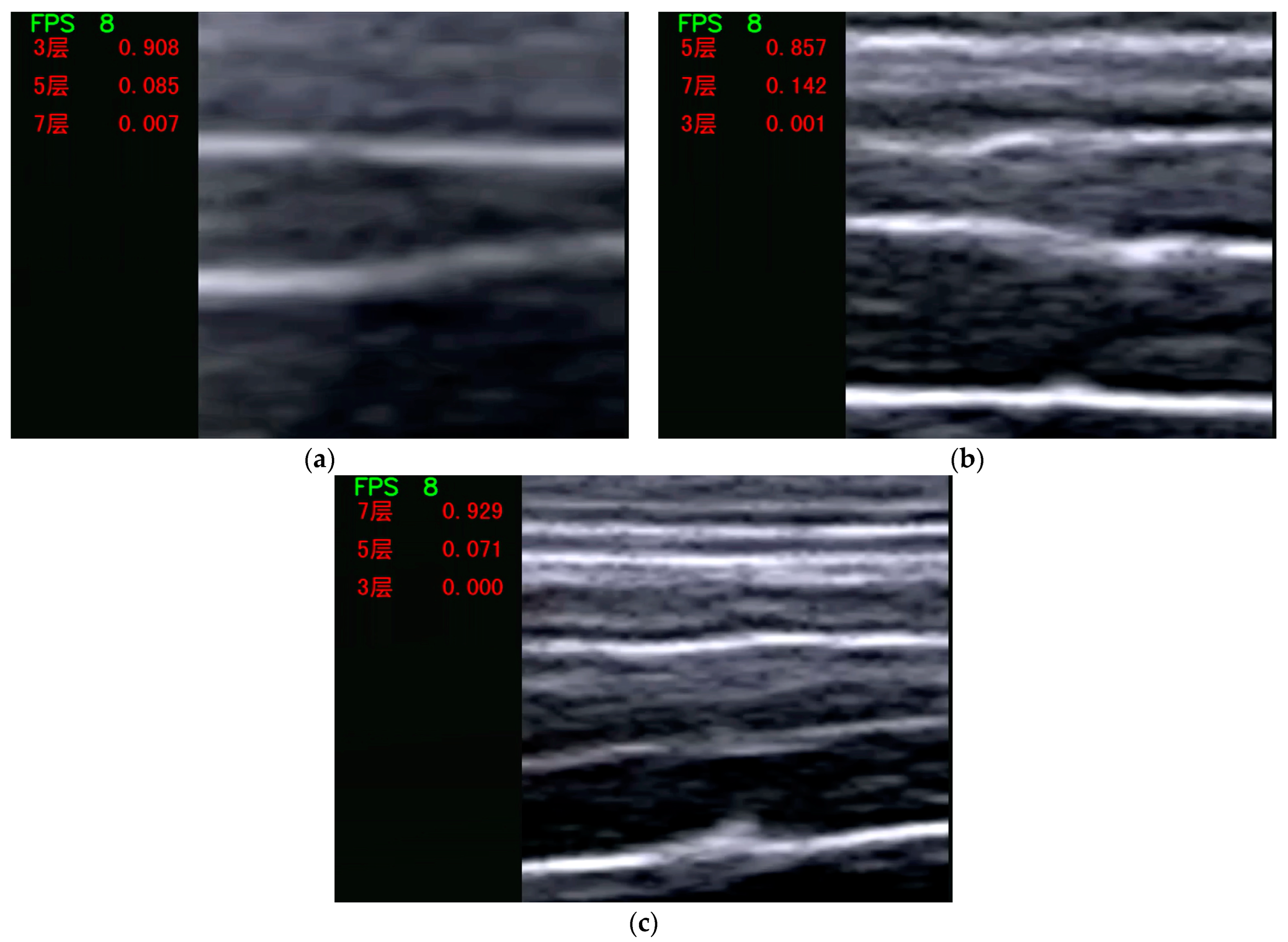 Animals 14 02189 g007