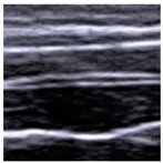 Animals 14 02189 i003