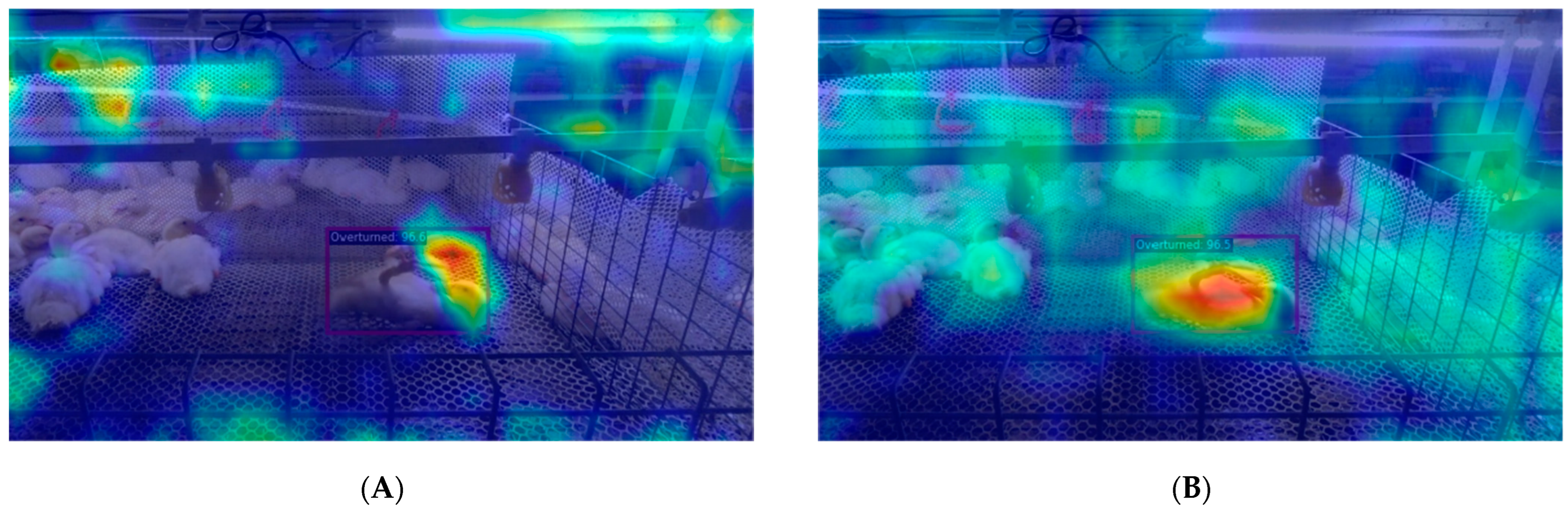 Animals 14 02192 g013