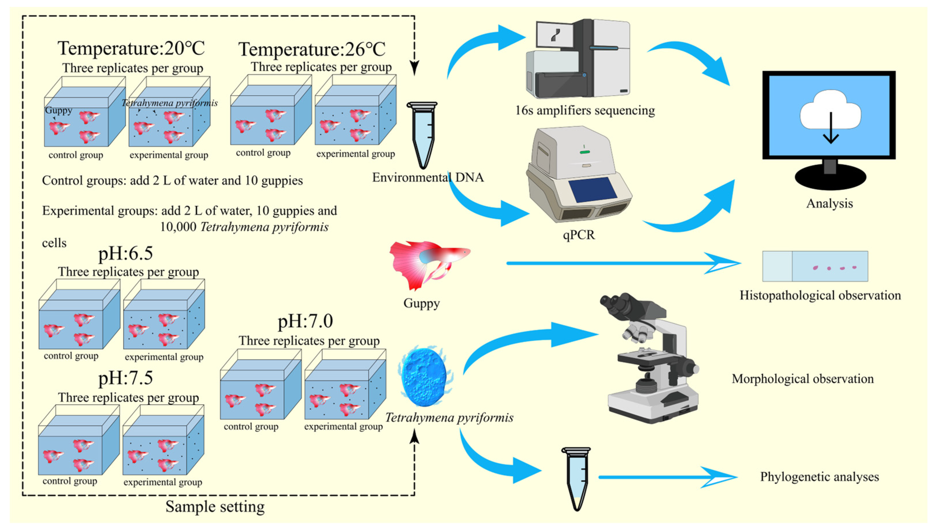 Animals 14 02194 g001 Animals 14 02194 g001