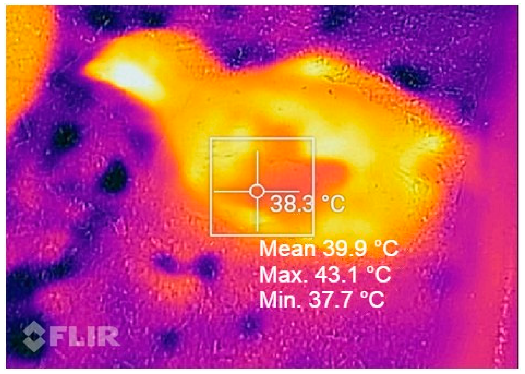 Animals 14 02195 g001 Animals 14 02195 g001