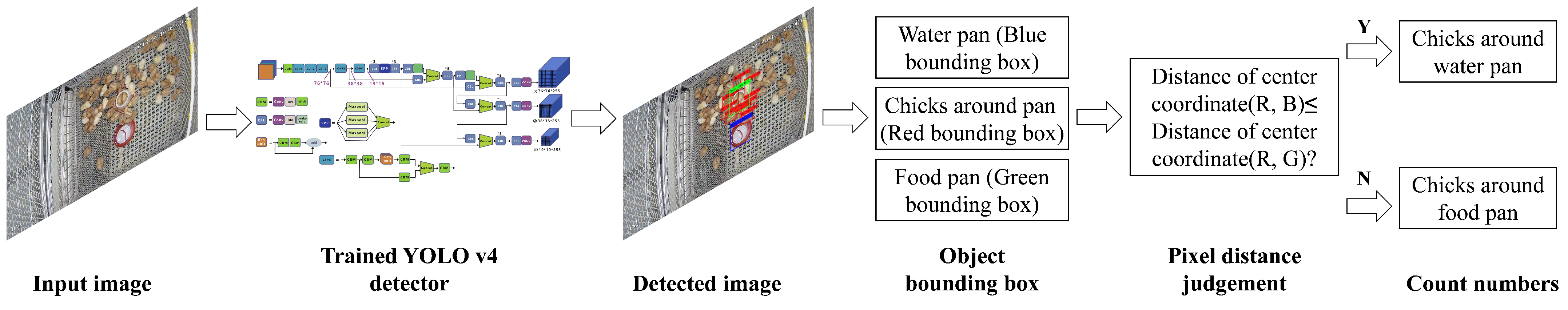 Animals 14 02197 g001