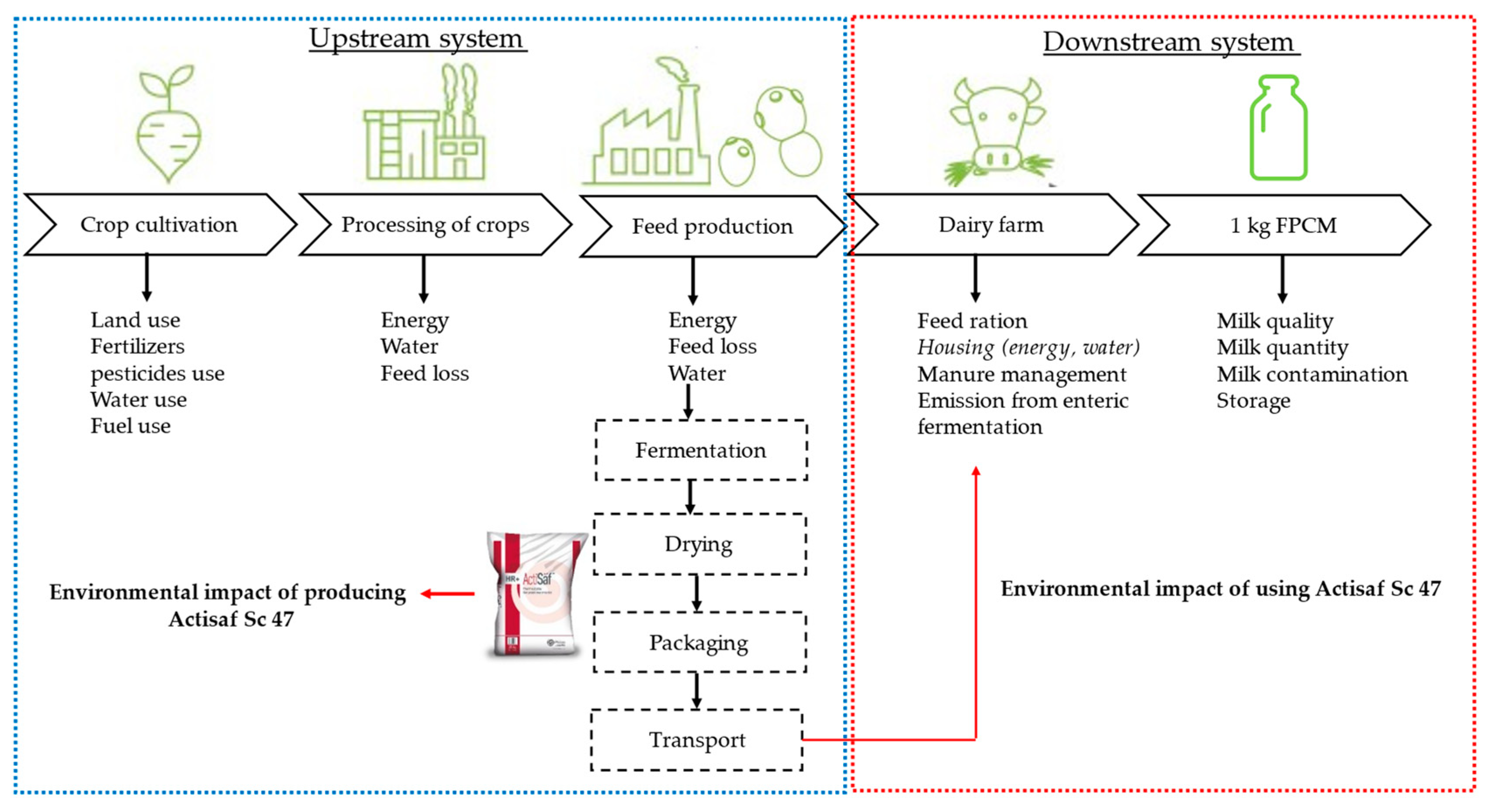 Animals 14 02202 g002