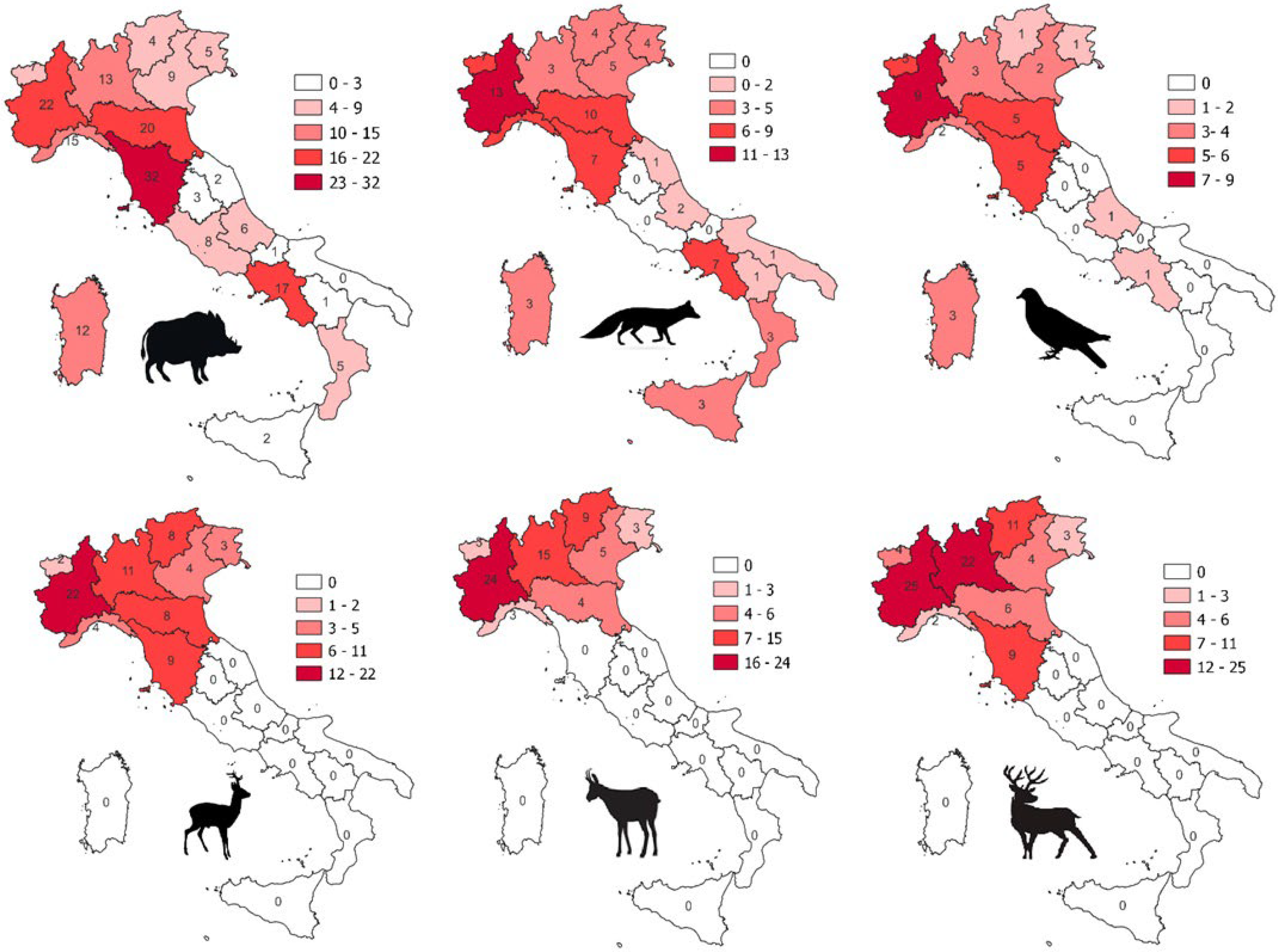 Animals 14 02204 g004