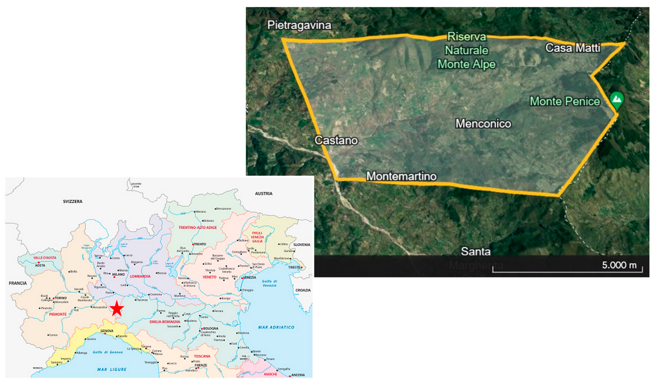 Animals 14 02209 g001