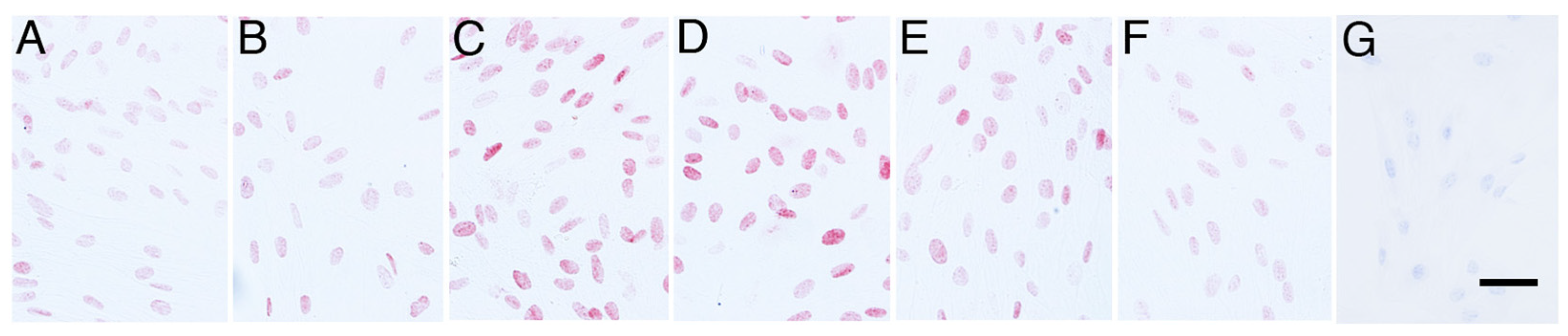 Animals 14 02211 g001