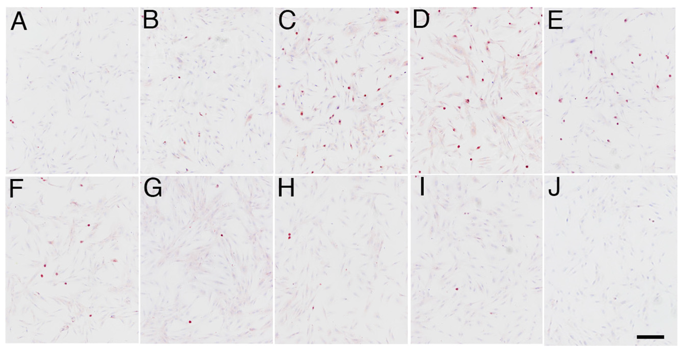 Animals 14 02211 g003