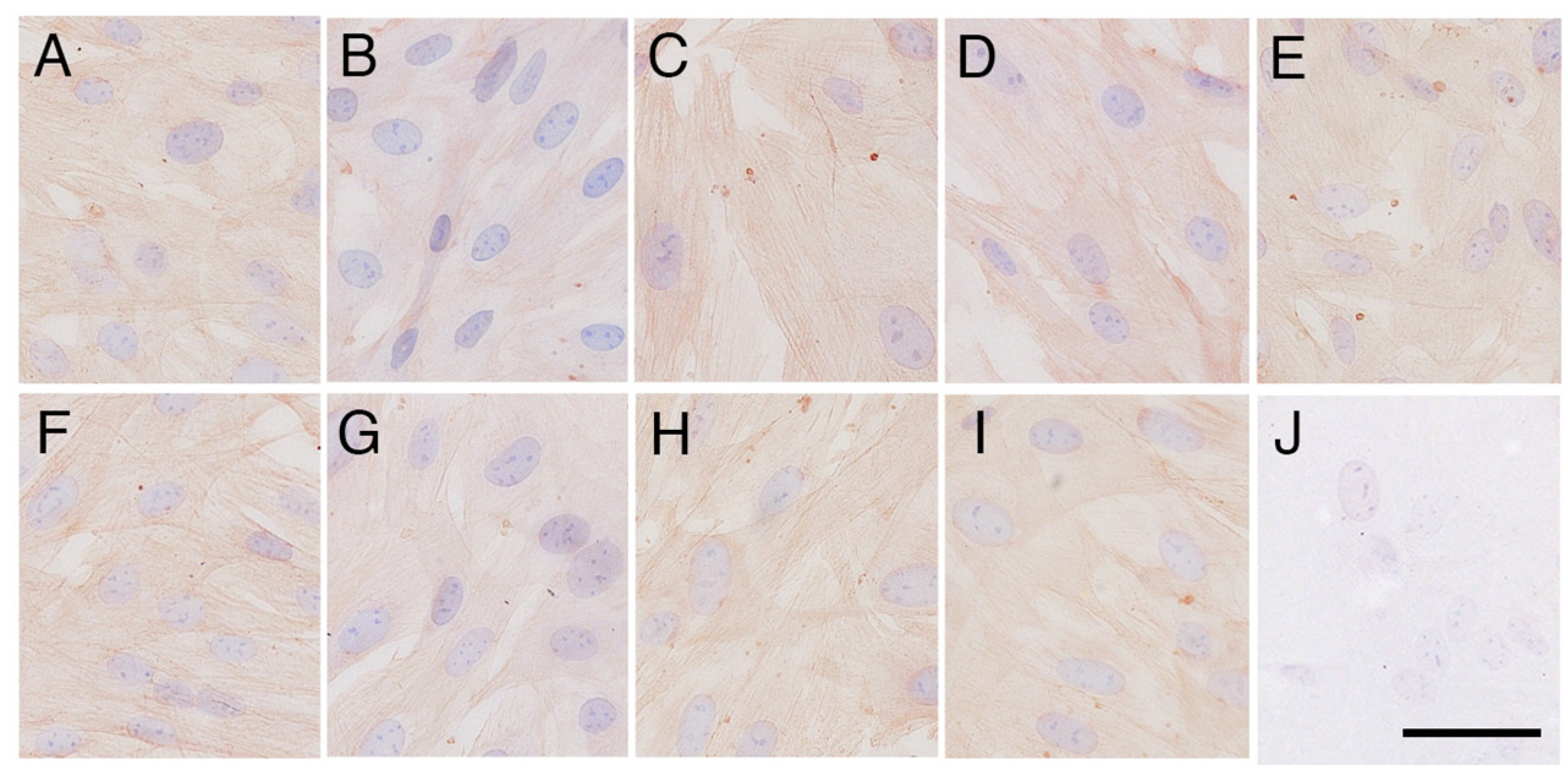 Animals 14 02211 g004