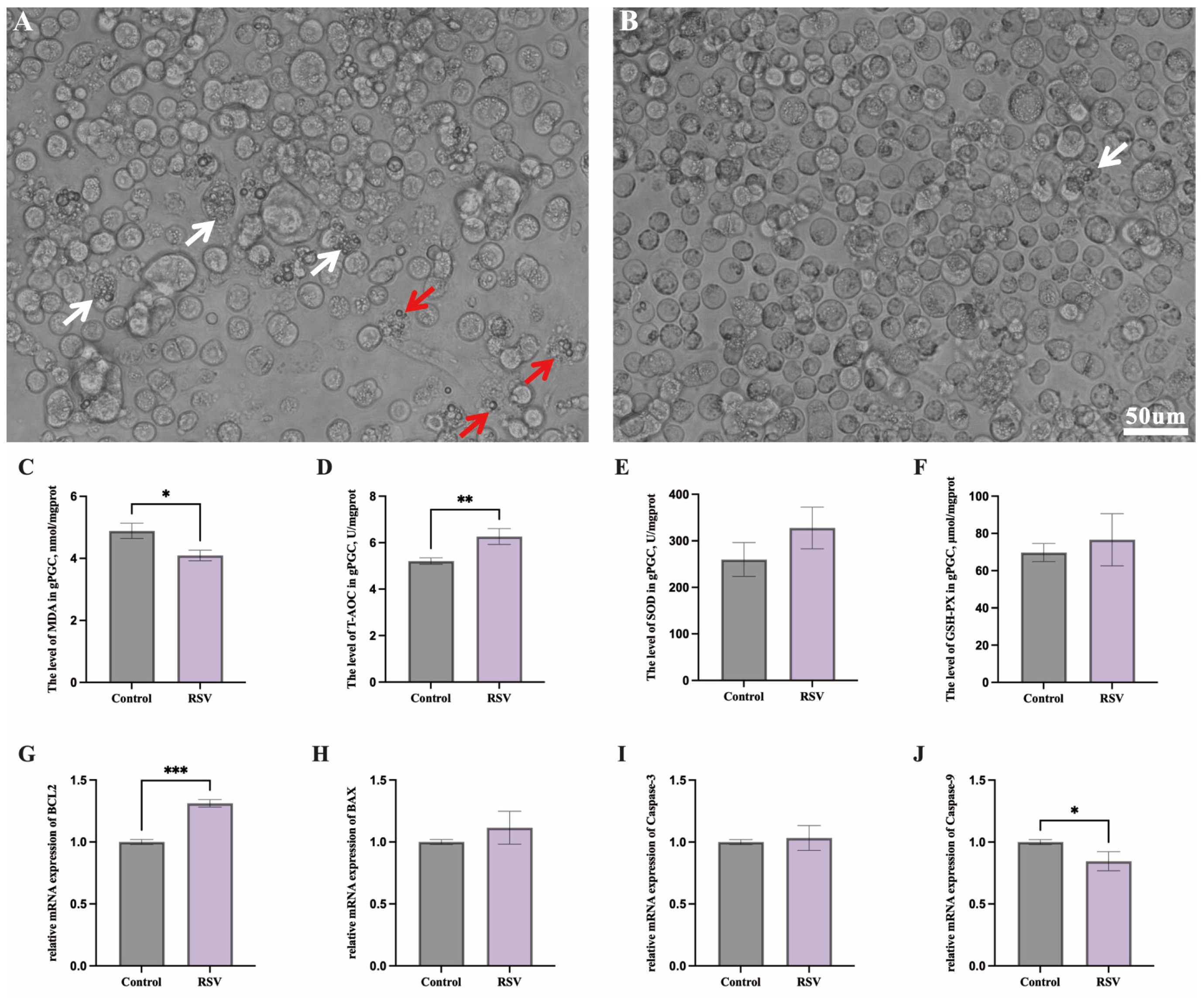 Animals 14 02214 g001