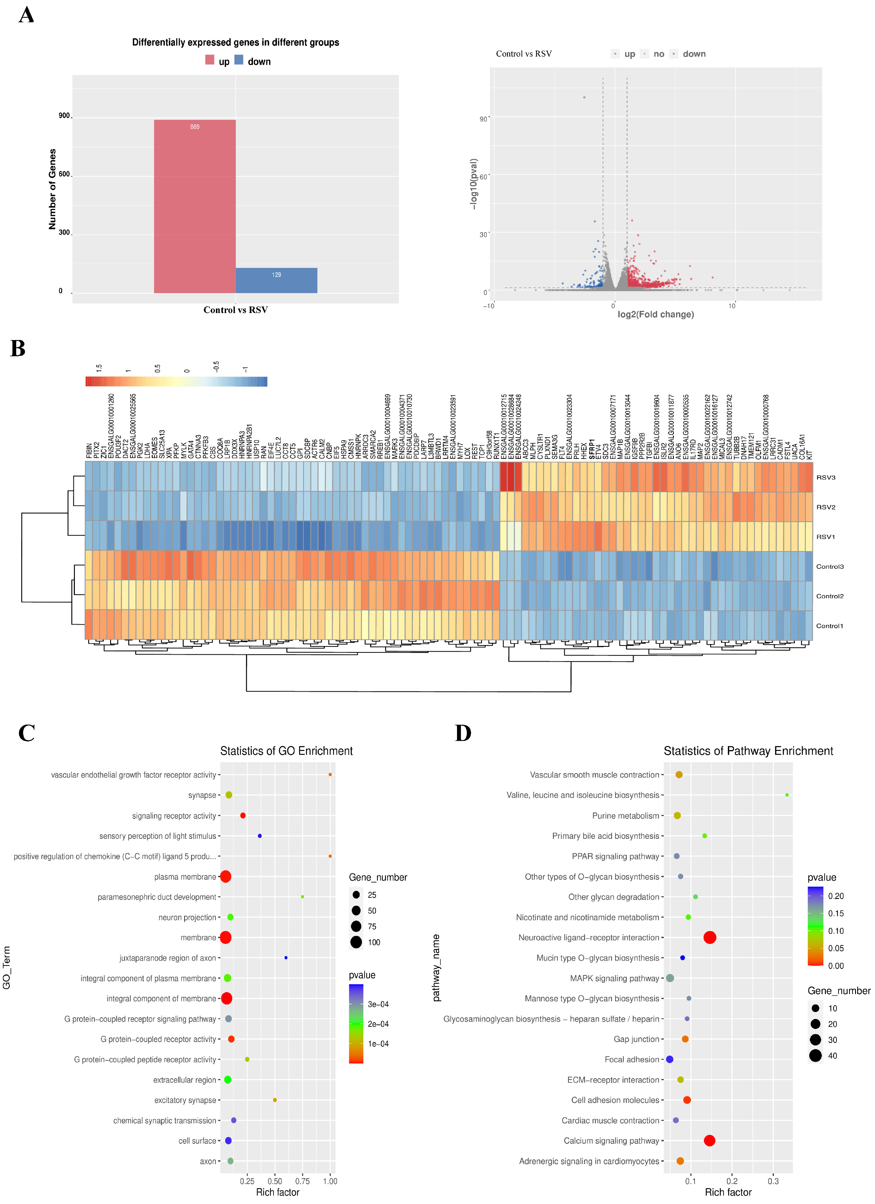 Animals 14 02214 g004
