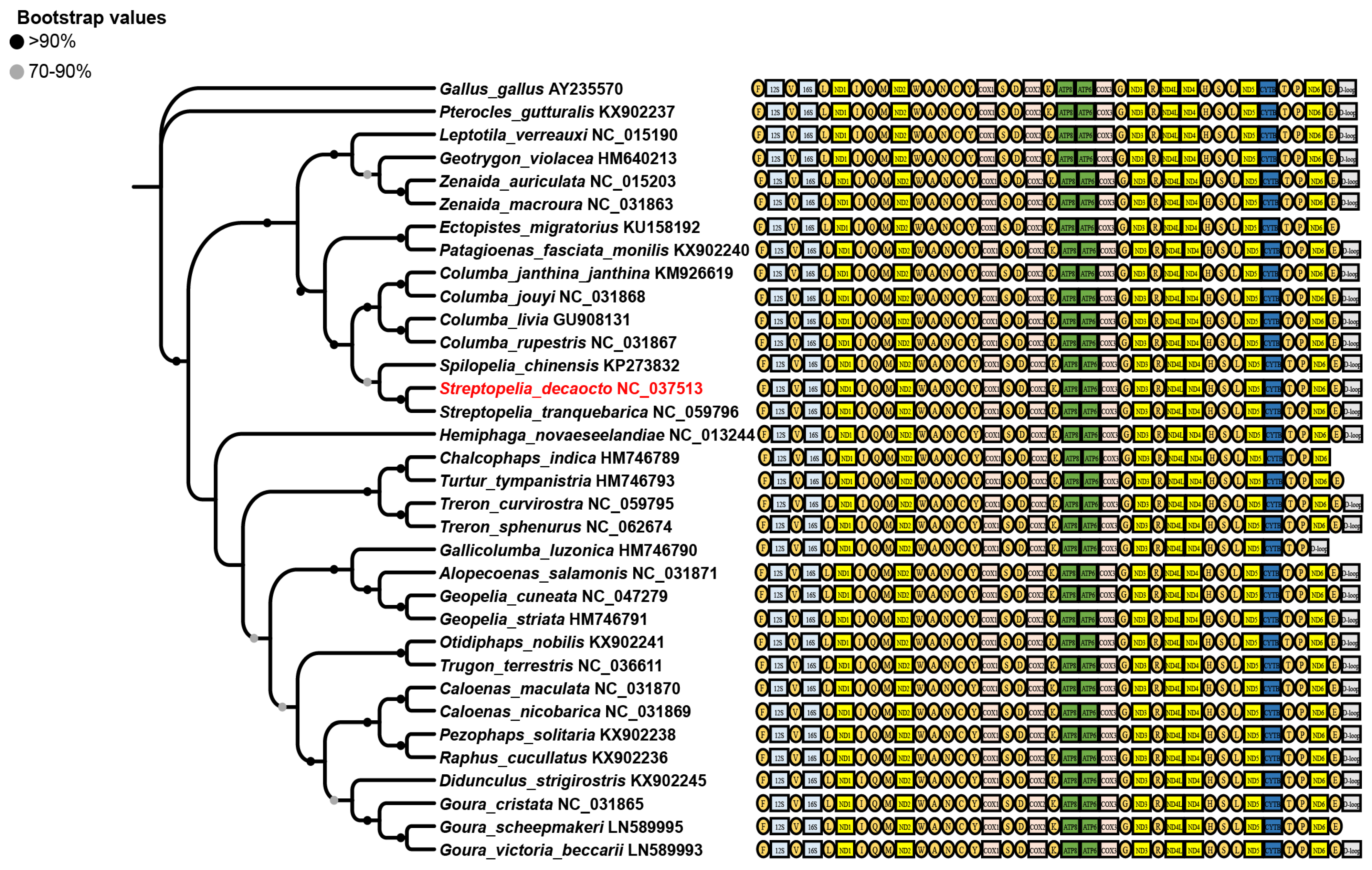Animals 14 02220 g004