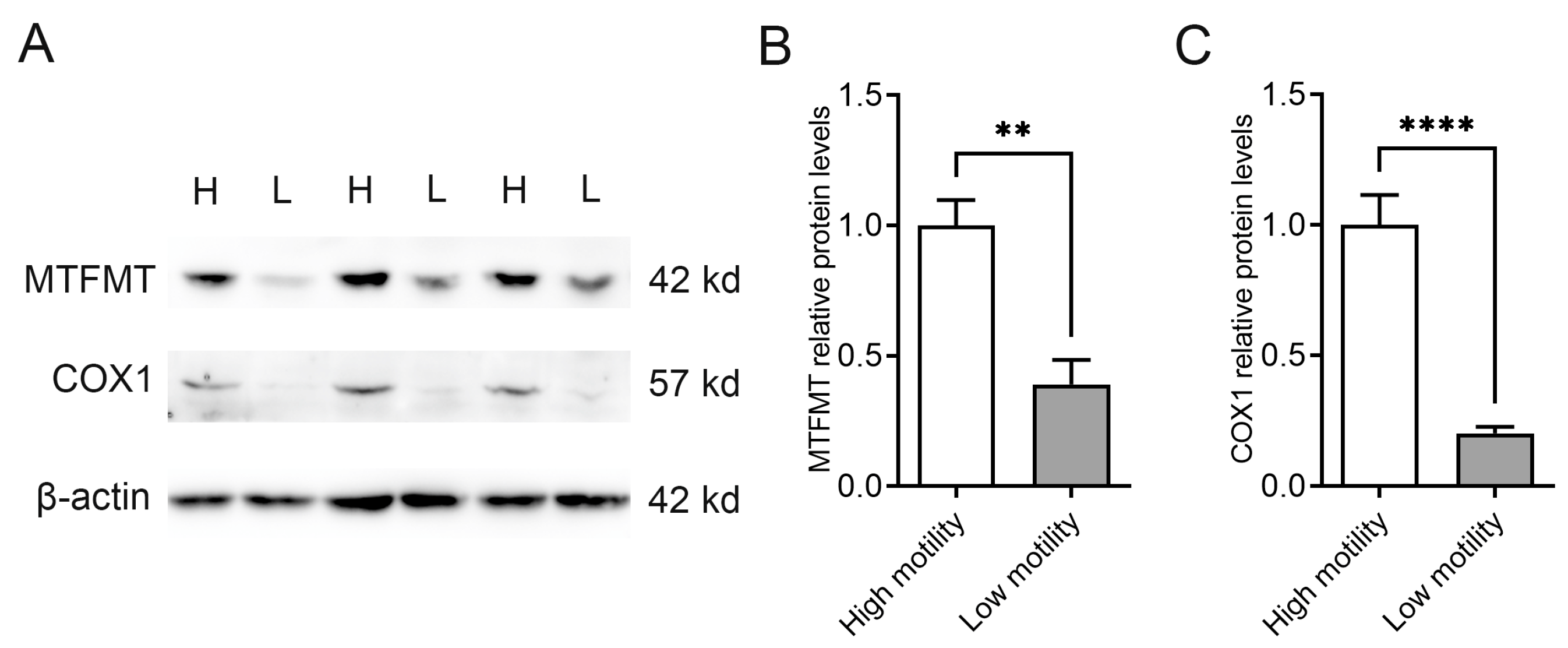Animals 14 02227 g001