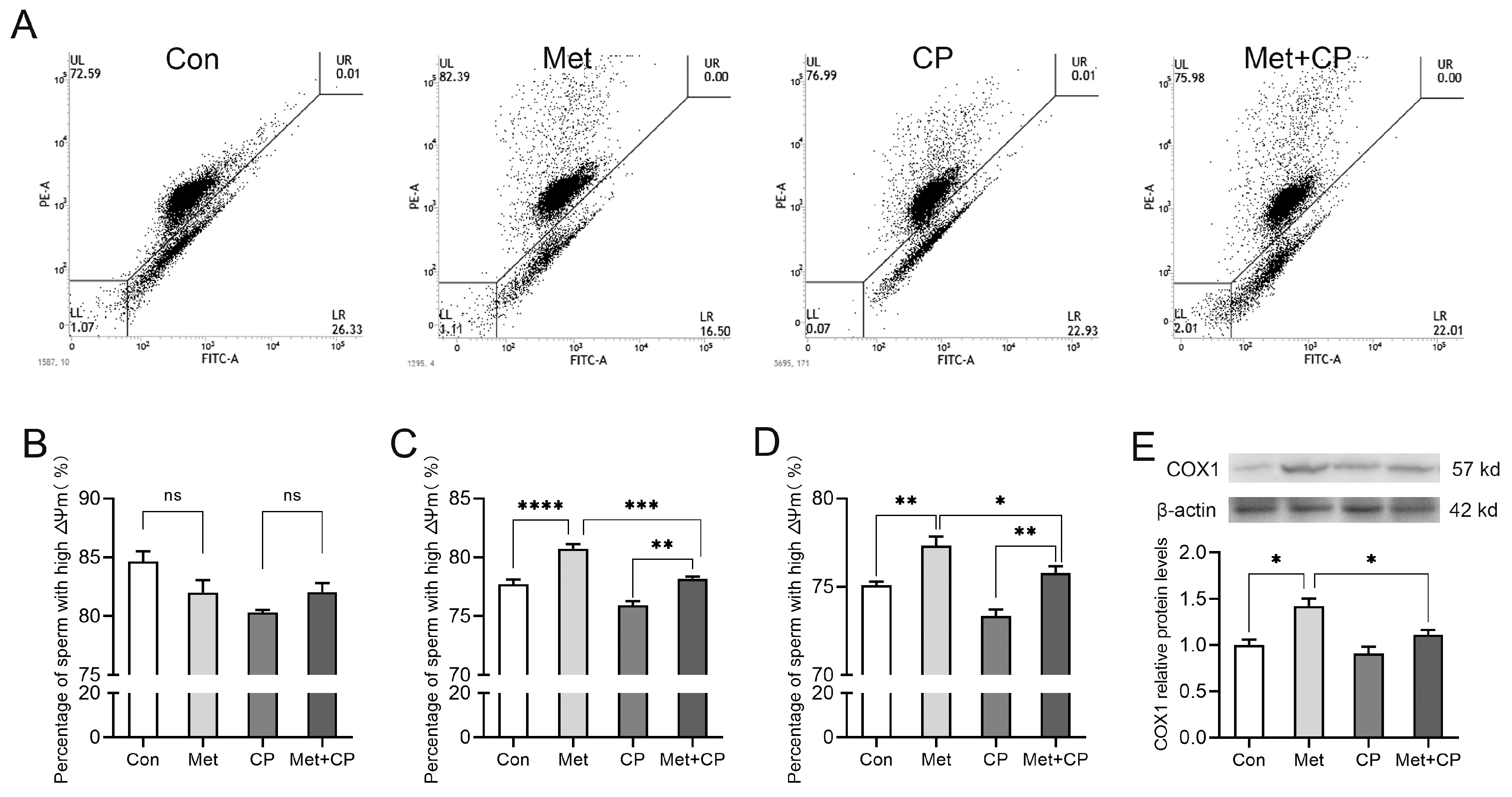 Animals 14 02227 g002