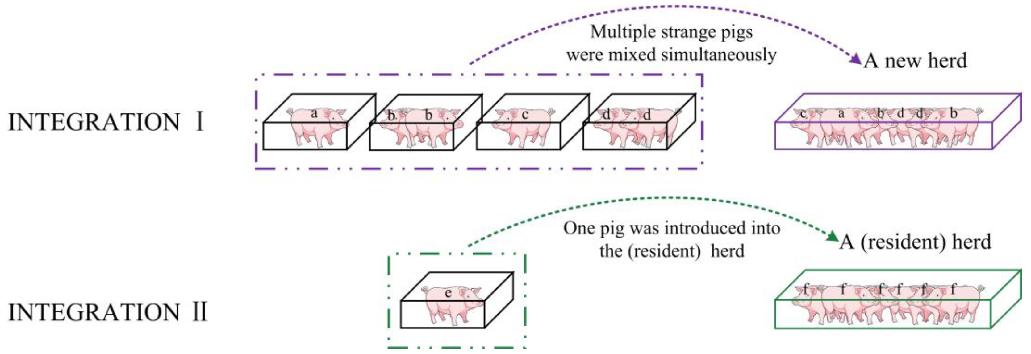 Animals 14 02229 g001 Animals 14 02229 g001