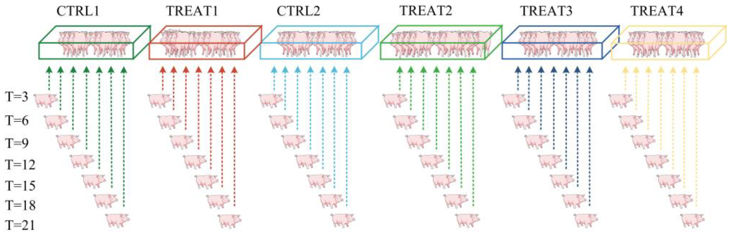 Animals 14 02229 g002 Animals 14 02229 g002