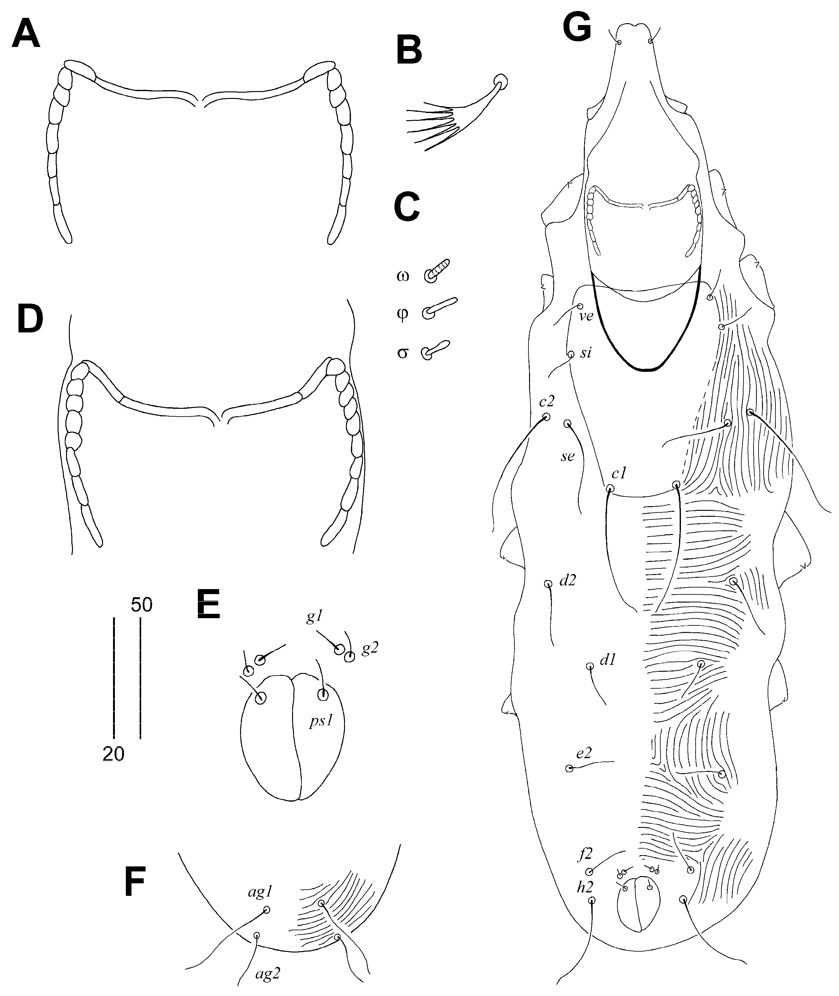 Animals 14 02239 g002 Animals 14 02239 g002