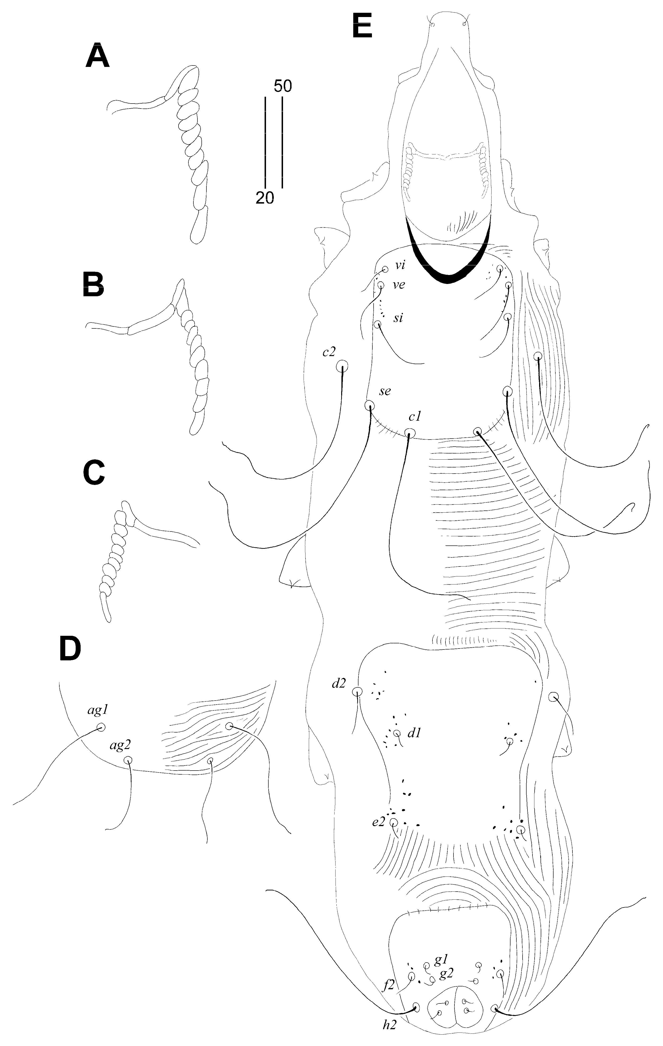 Animals 14 02239 g006 Animals 14 02239 g006