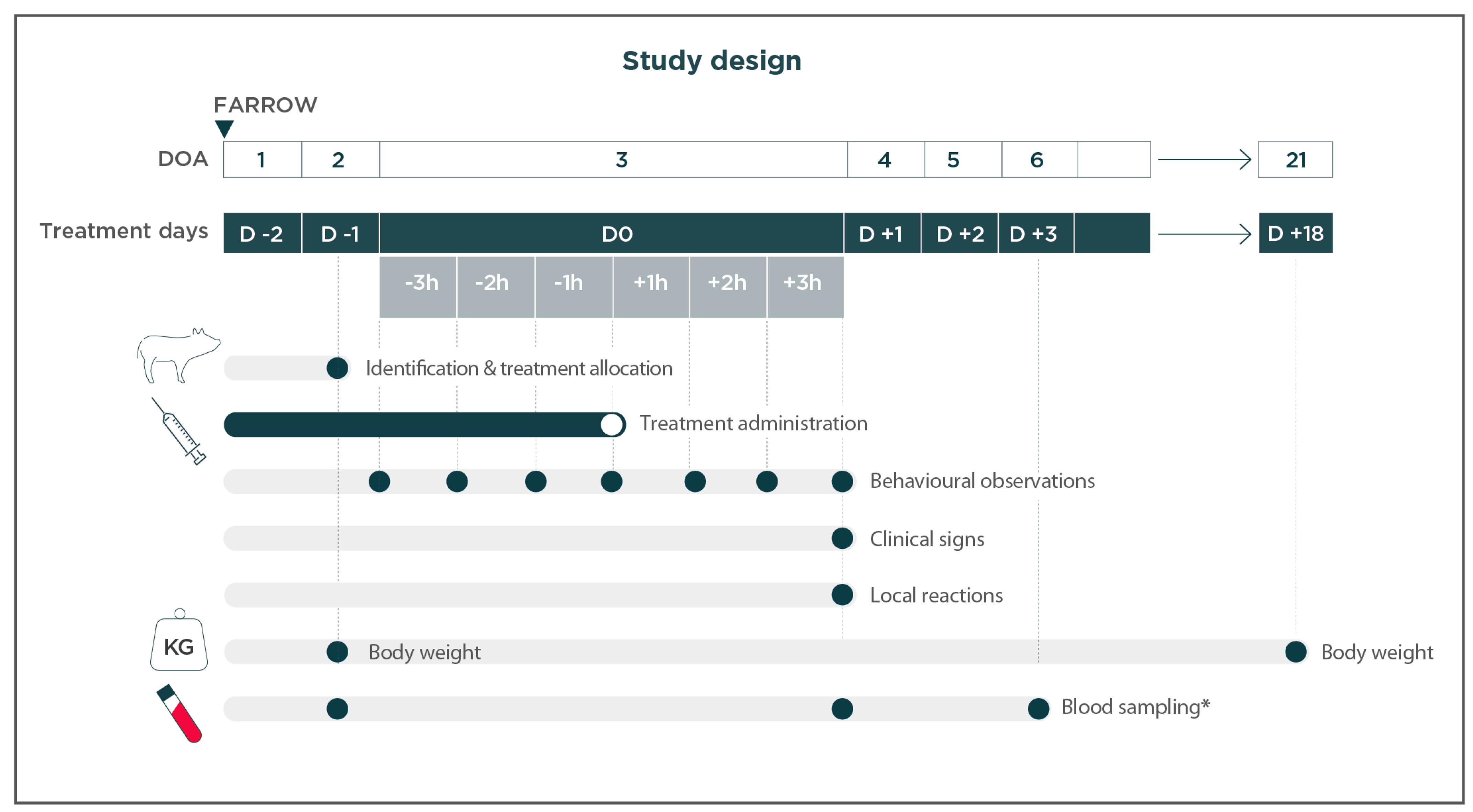 Animals 14 02241 g001