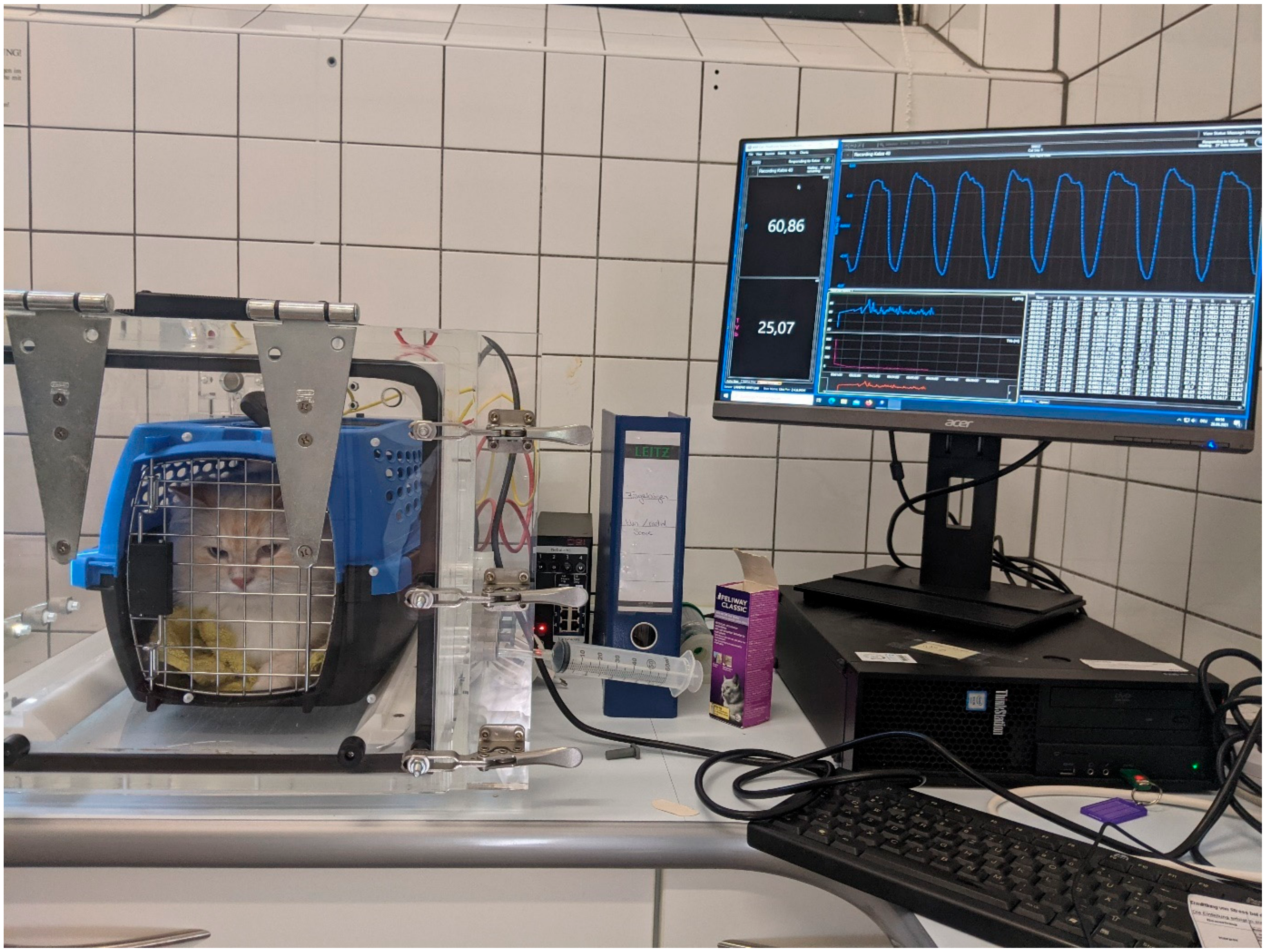 Animals 14 02249 g001