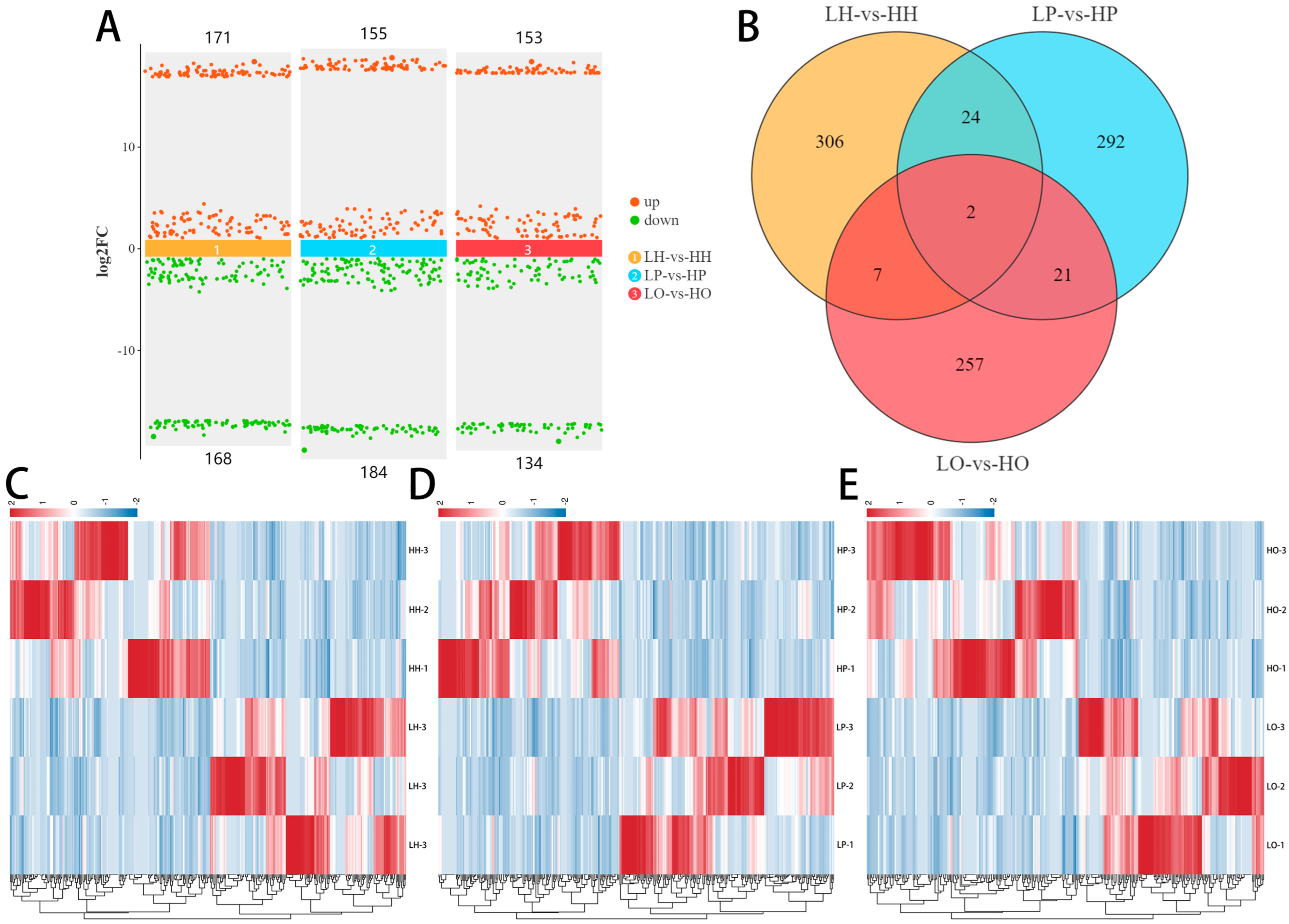 Animals 14 02253 g001