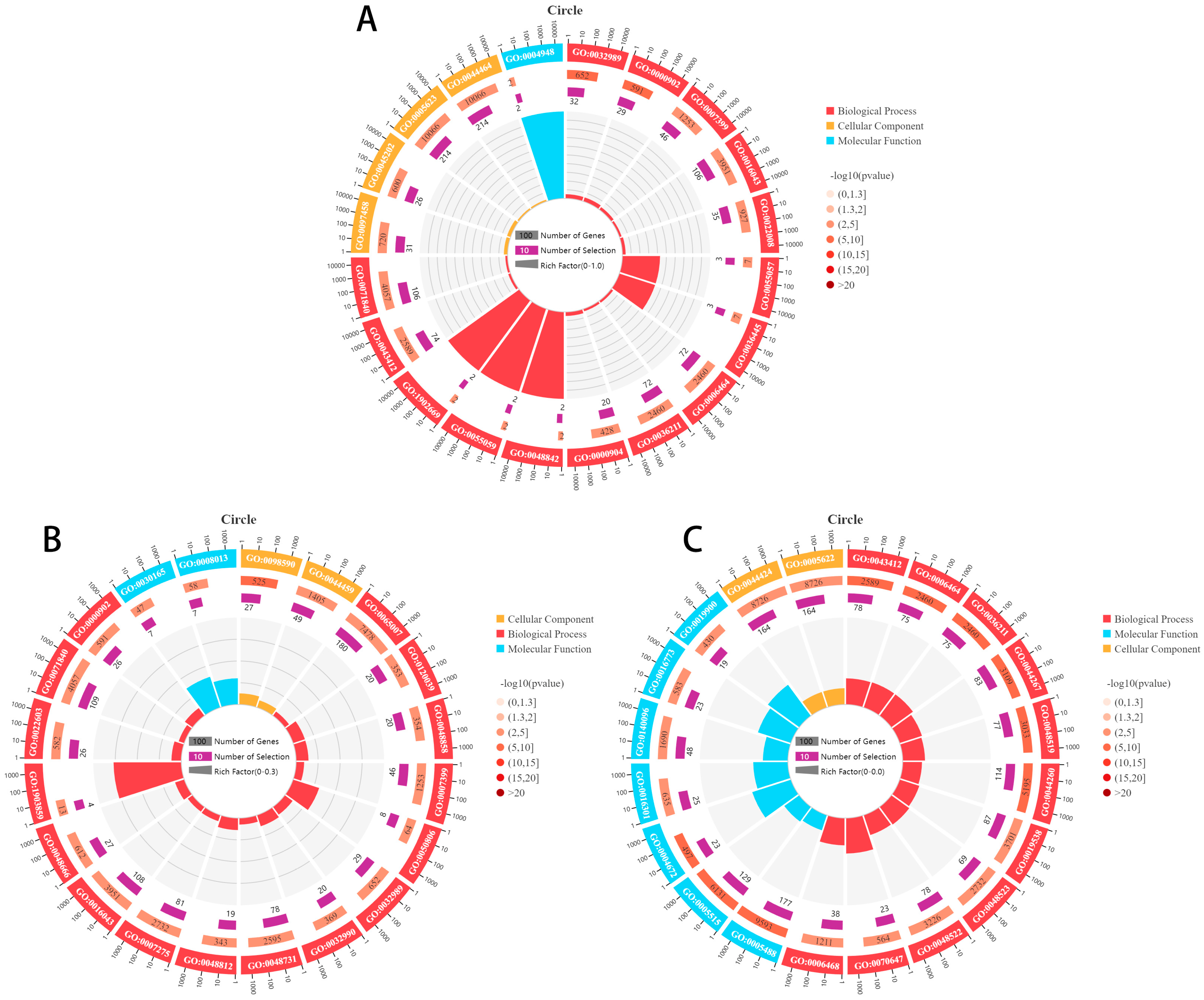 Animals 14 02253 g002