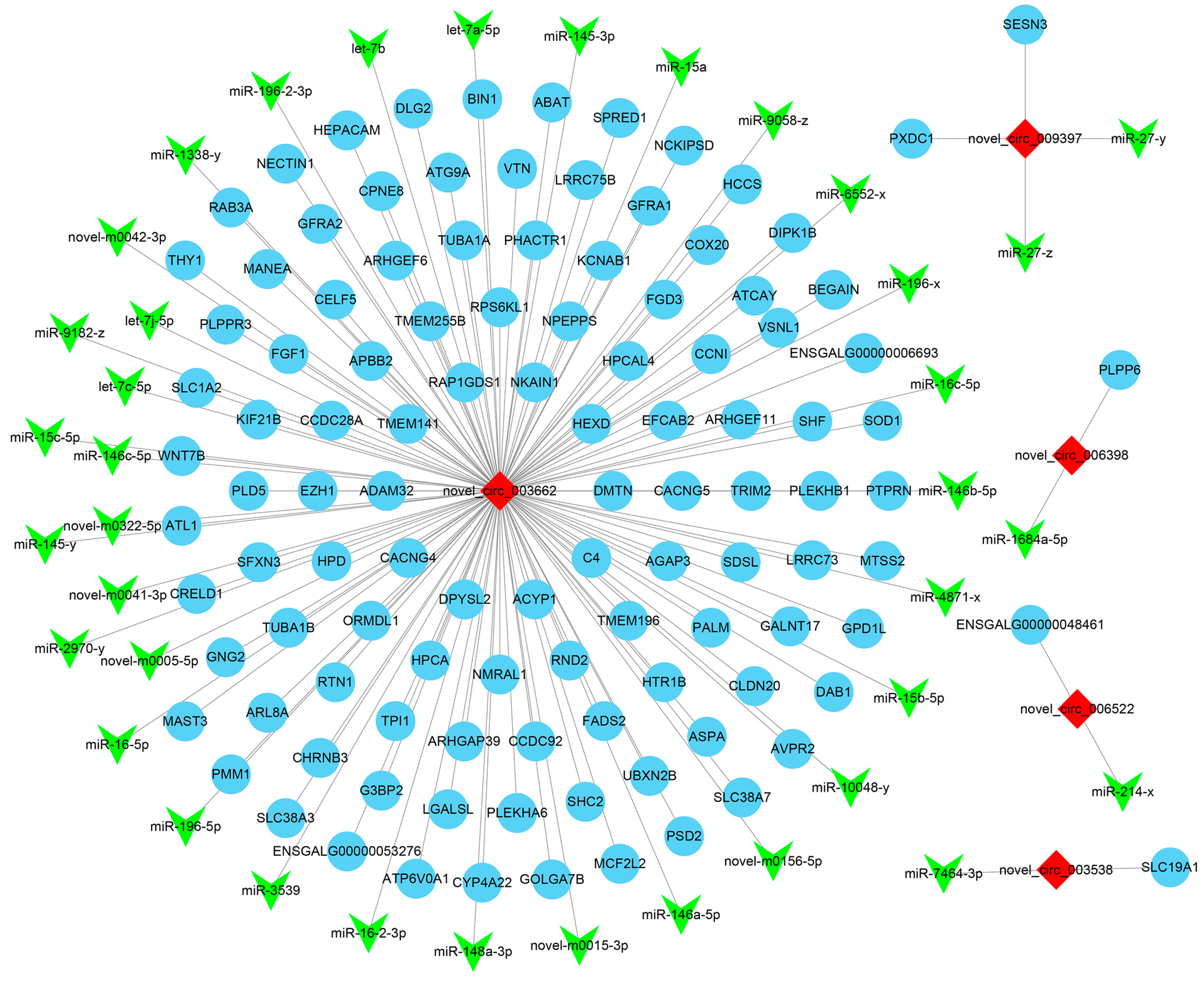 Animals 14 02253 g004