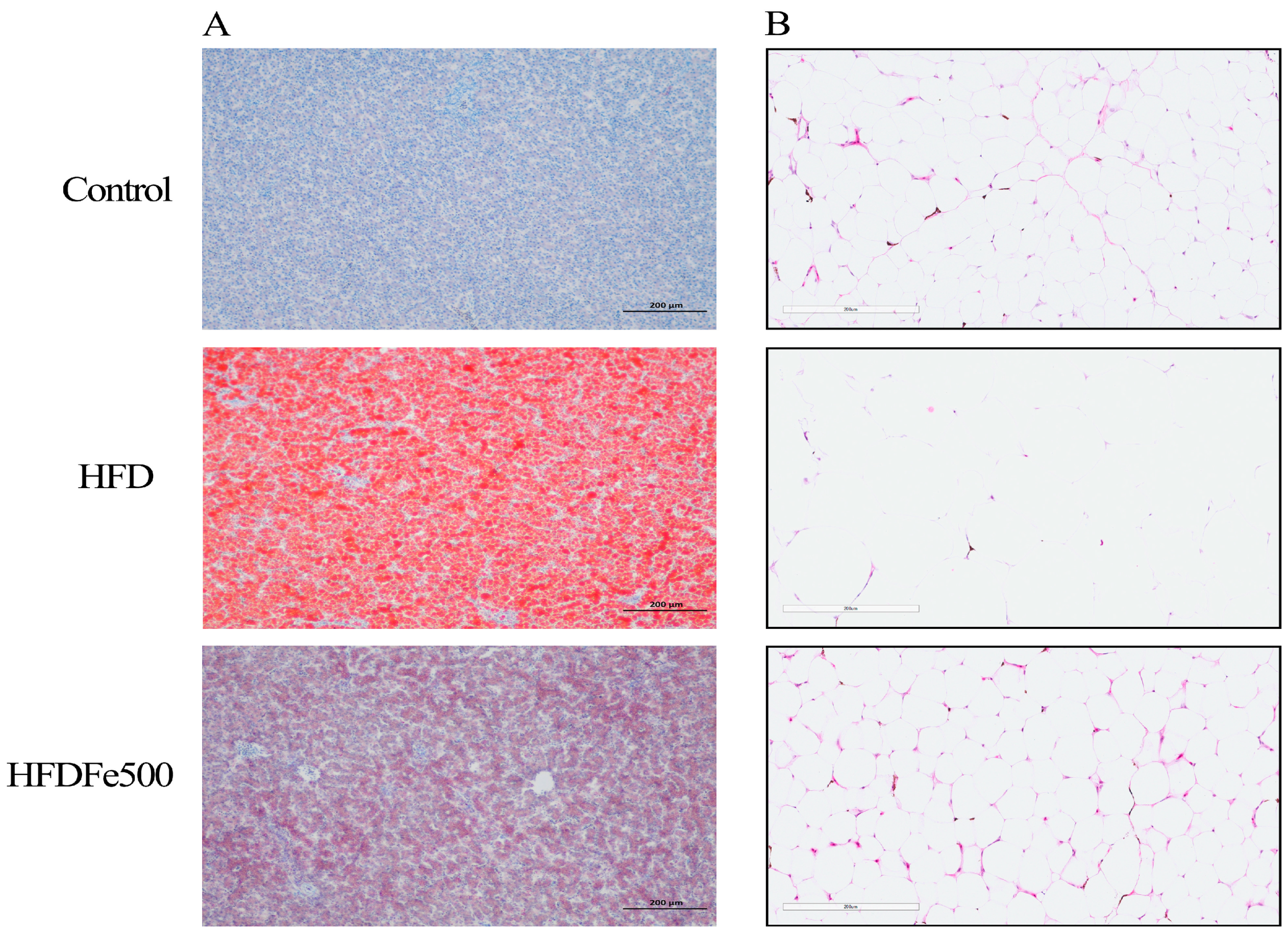 Animals 14 02254 g001