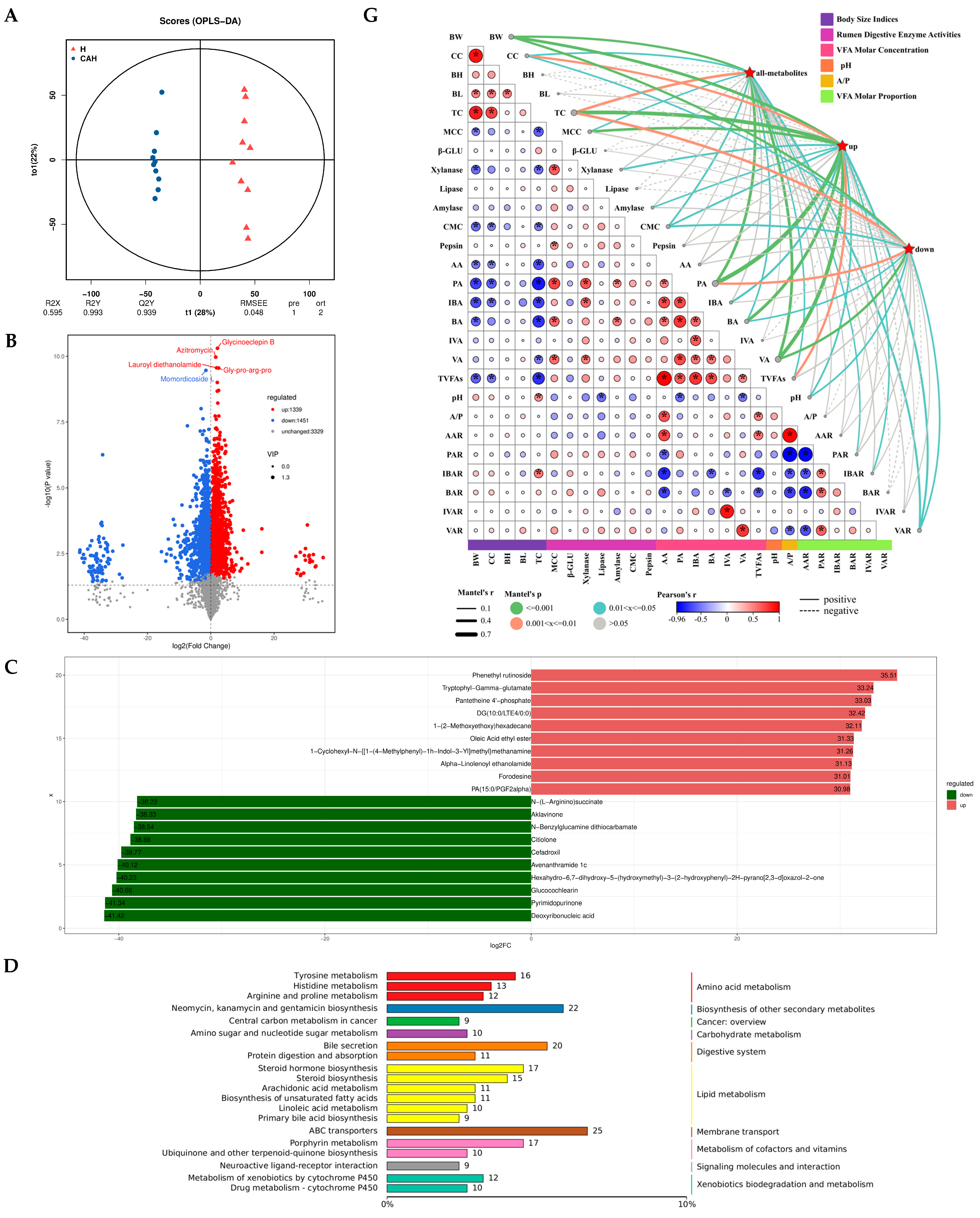 Animals 14 02256 g003a
