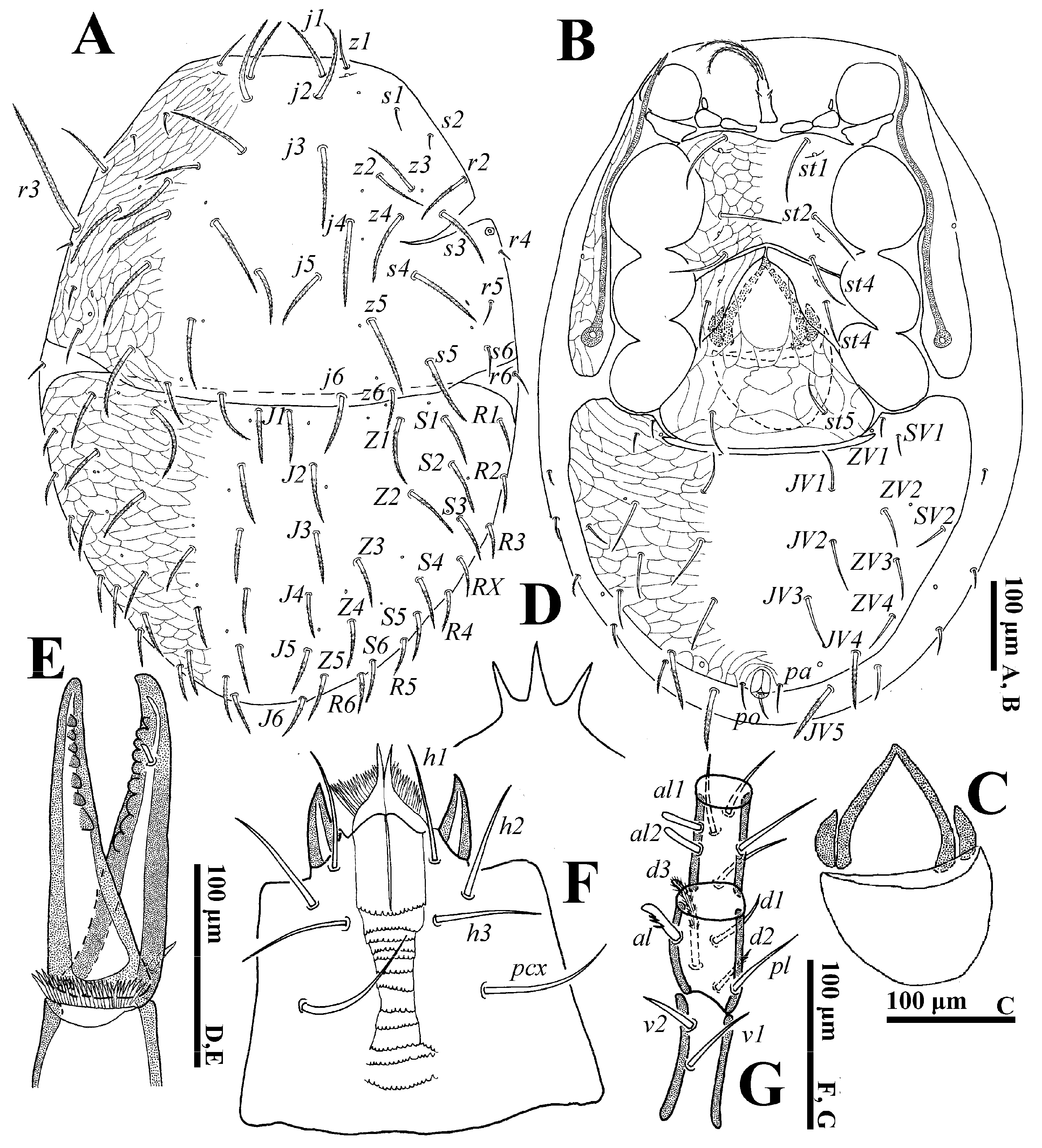 Animals 14 02260 g001