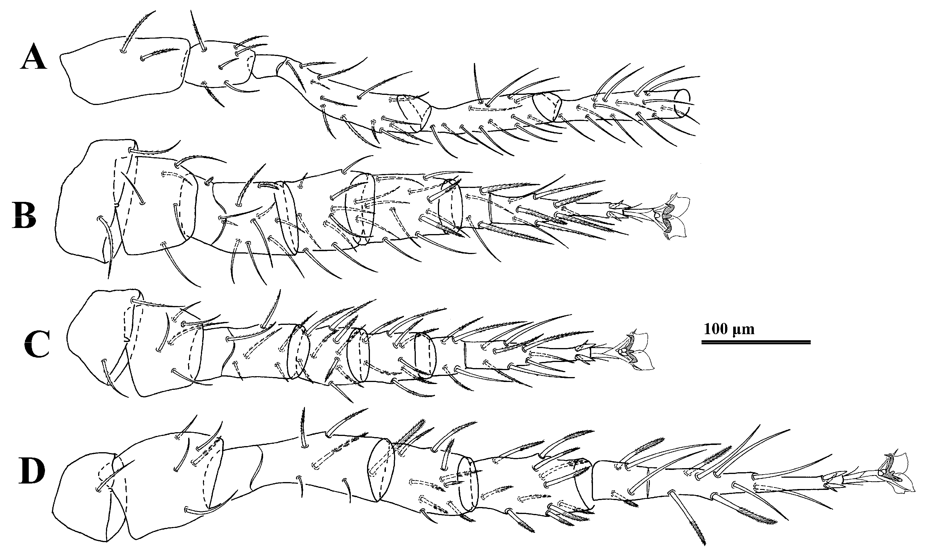 Animals 14 02260 g002