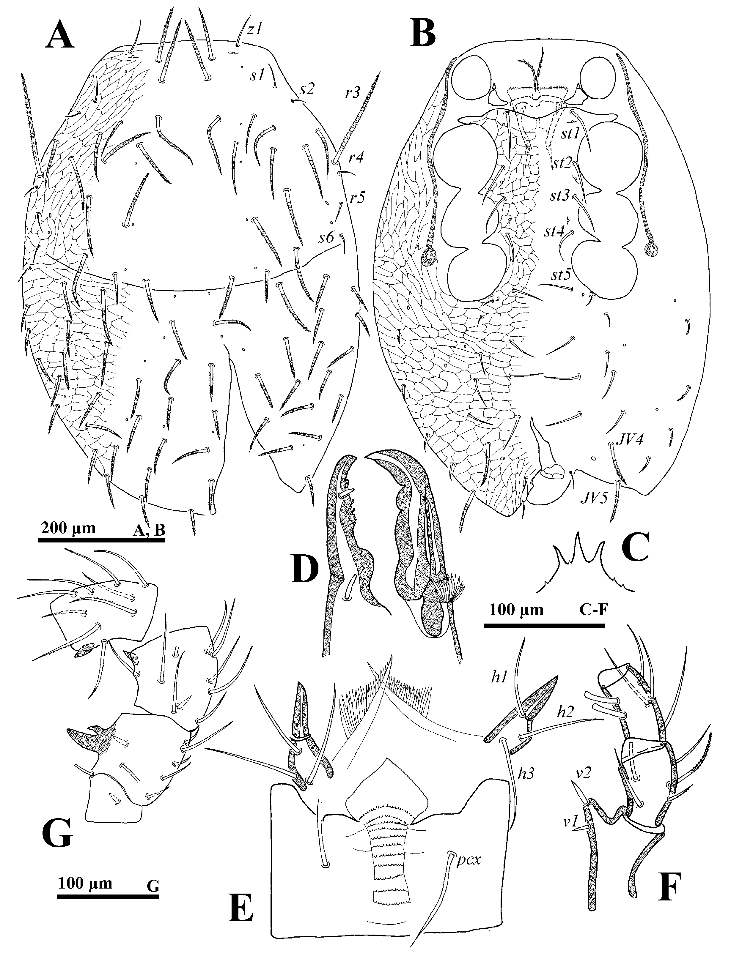 Animals 14 02260 g003