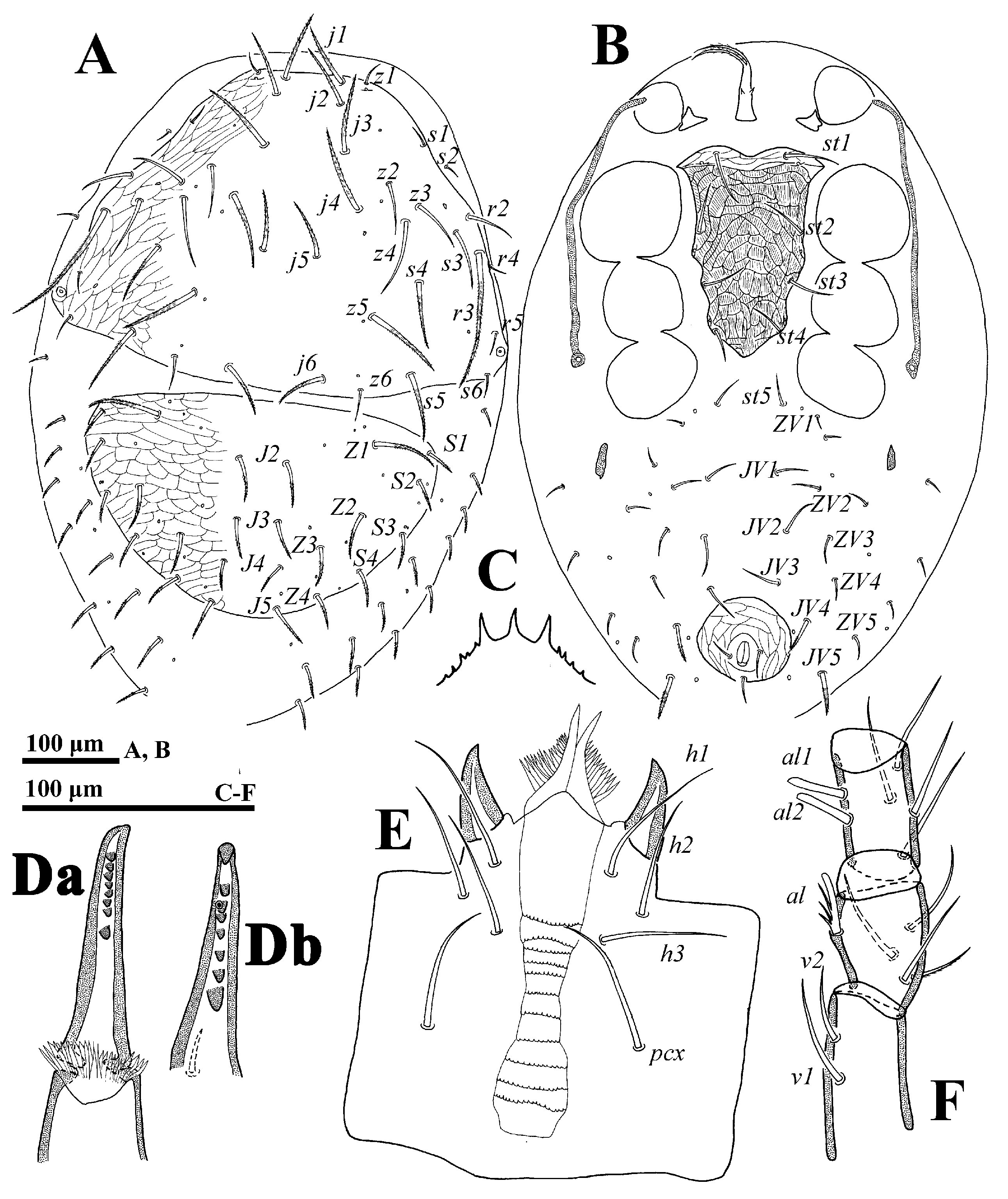 Animals 14 02260 g004