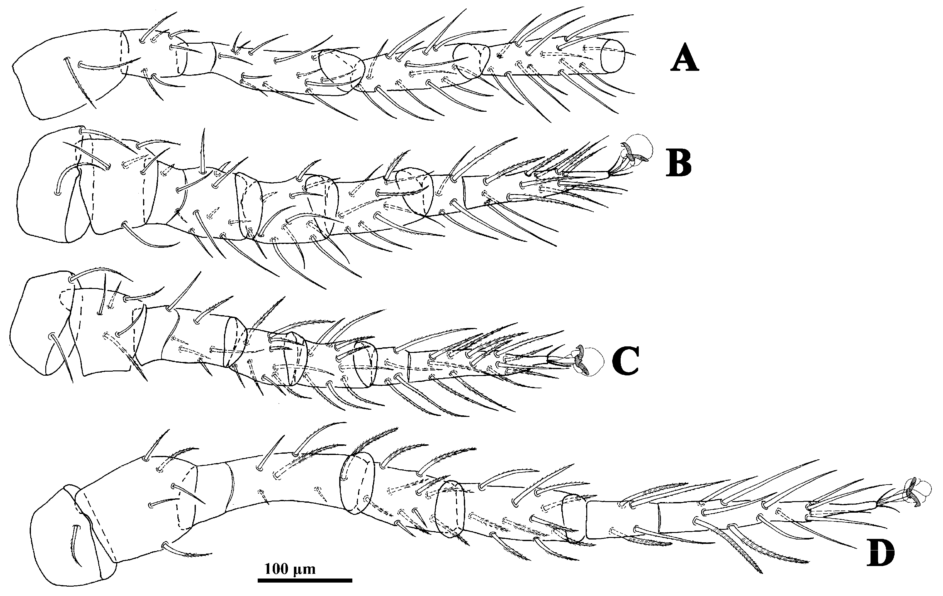 Animals 14 02260 g005