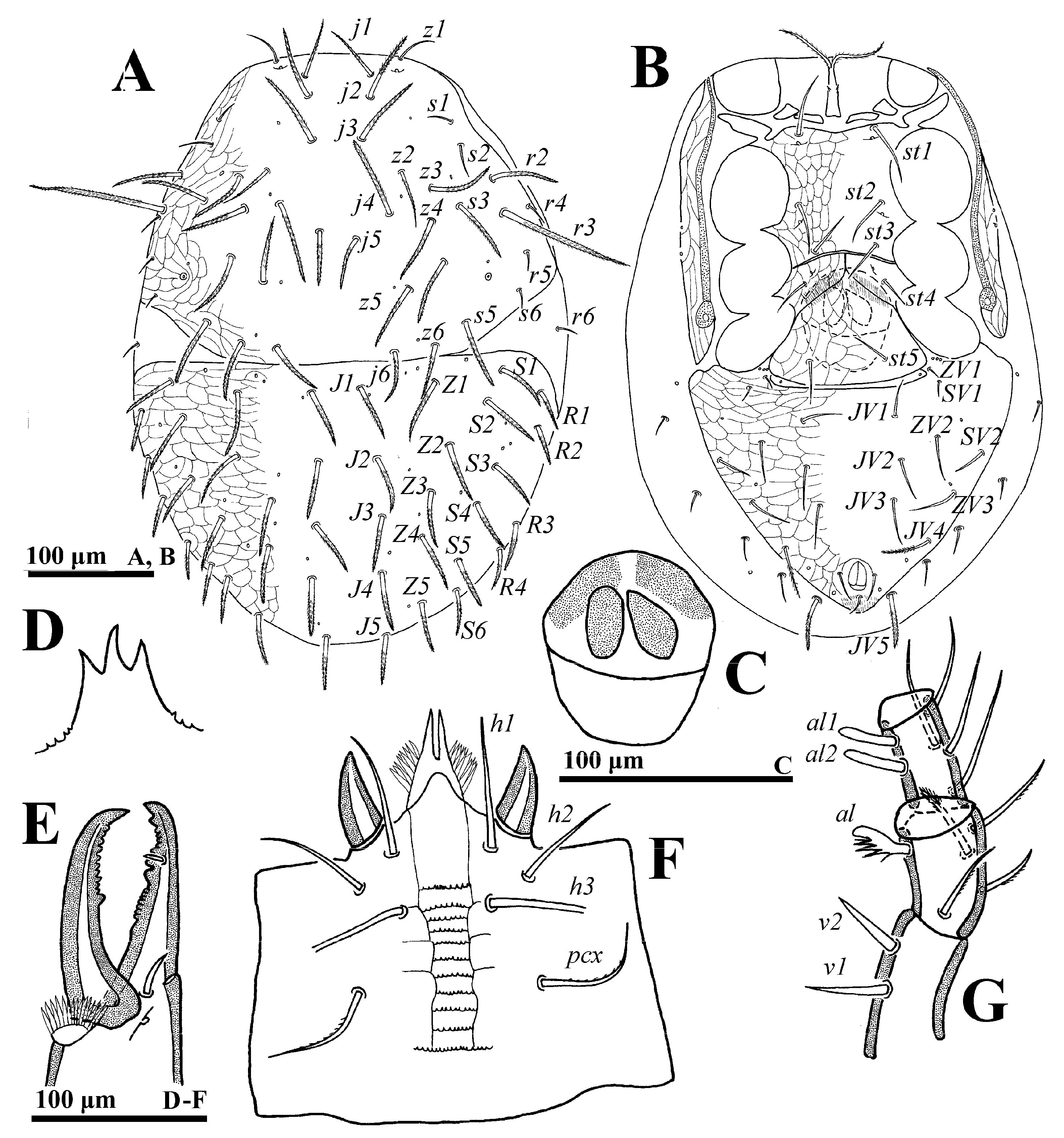 Animals 14 02260 g006