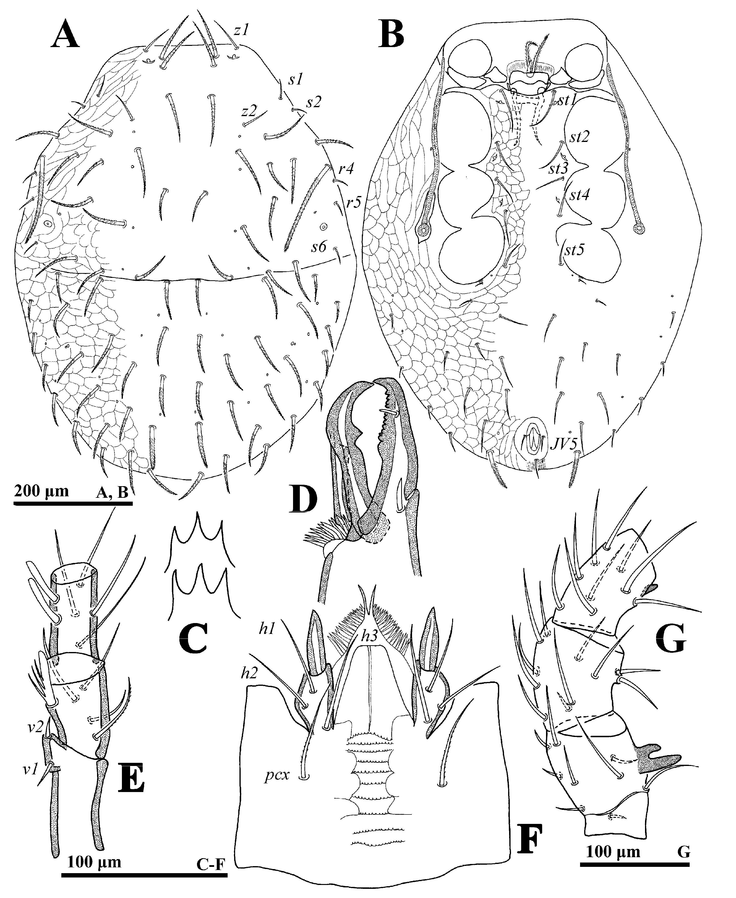 Animals 14 02260 g007